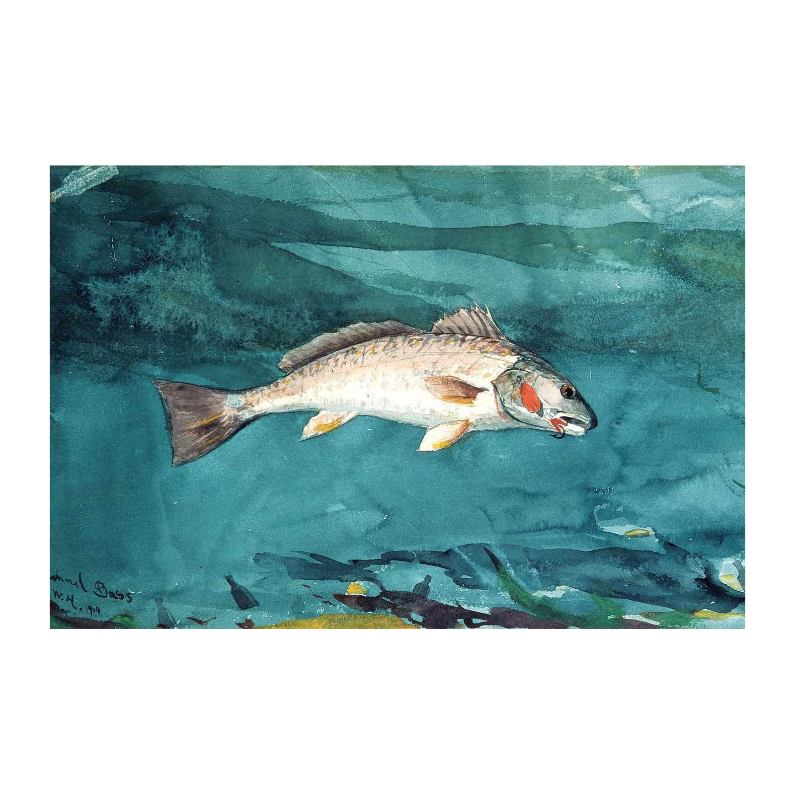 Vintage Channel Bass Watercolor Wall Art