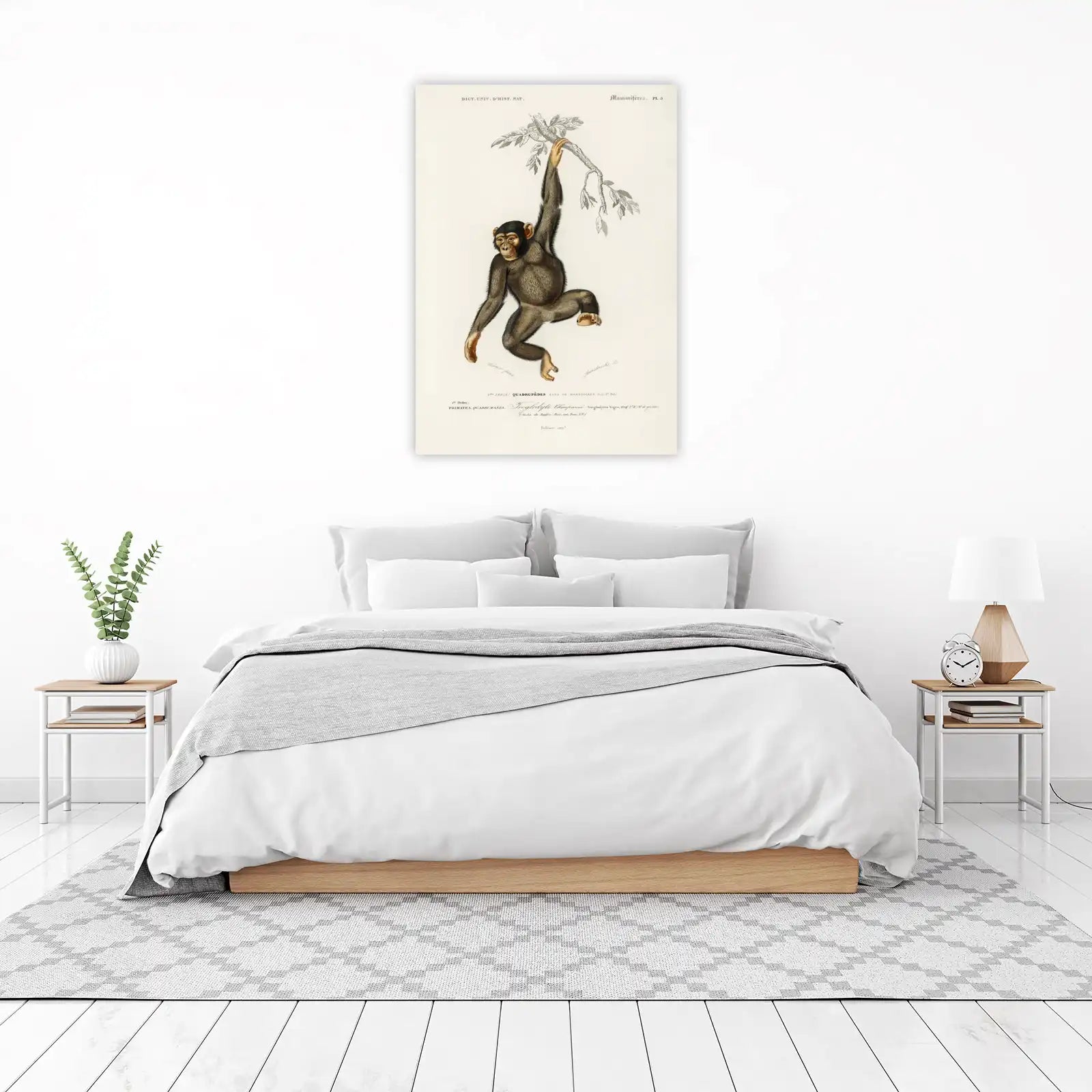 Vintage Chimpanzee Hanging Wall Art - Wildlife Art