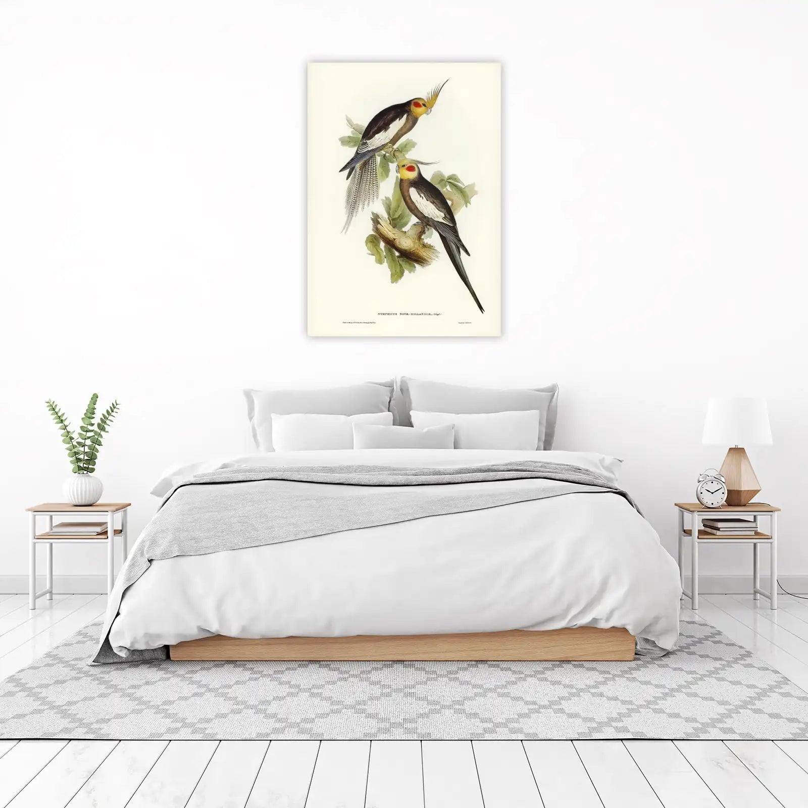 Elegant Cockatiel Pair Vintage Art Wall Art