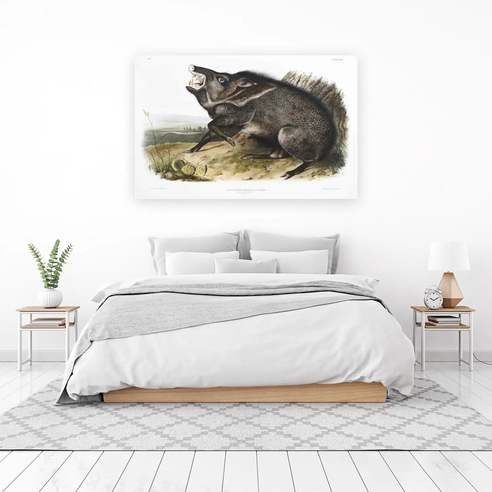 Collared Peccary Aggressive Wildlife Wall Art