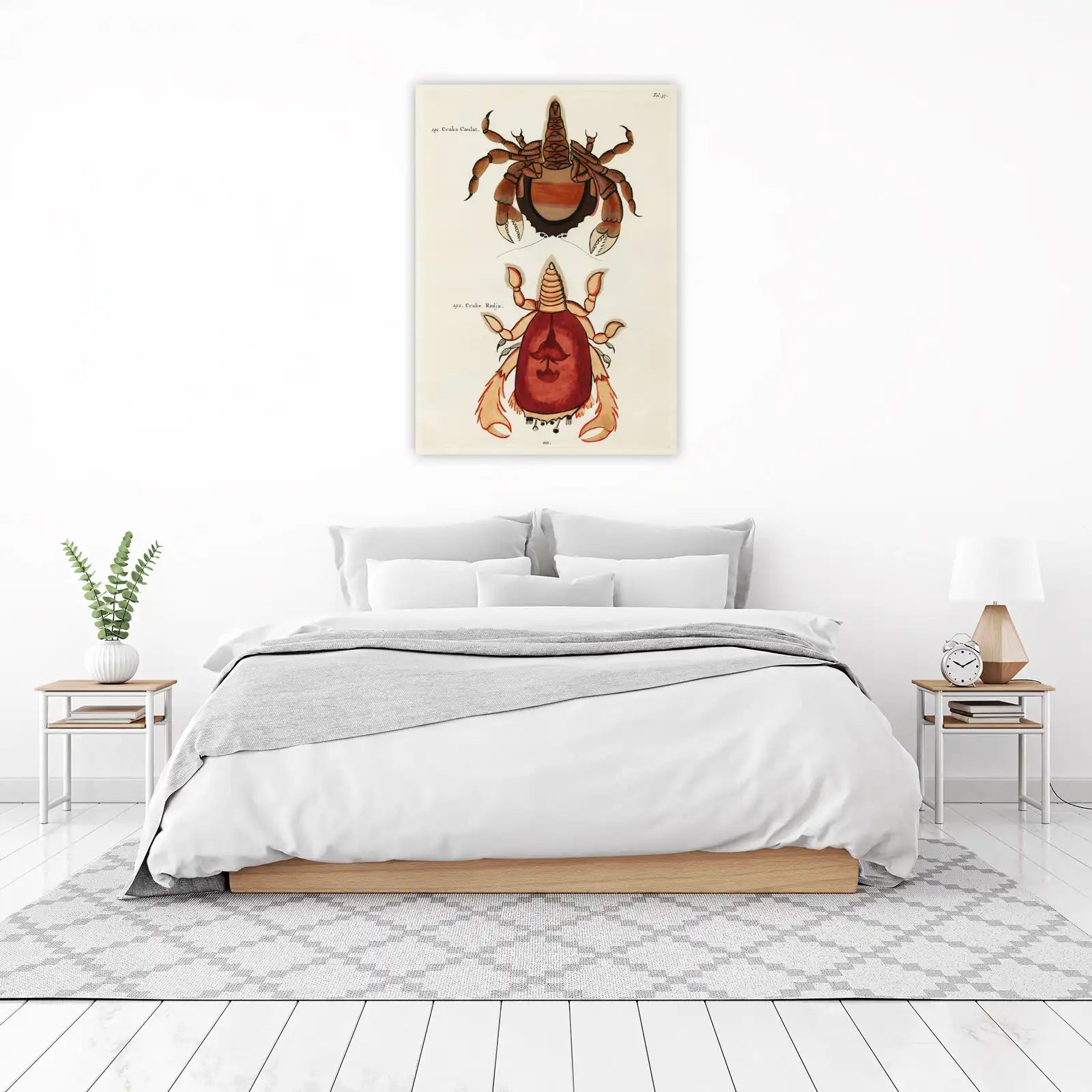 Vintage Crab Art Print - Natural History Wall Art