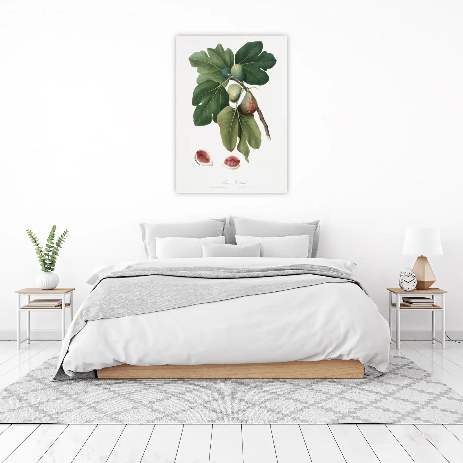 Vintage Fig Botanical Art Wall Art