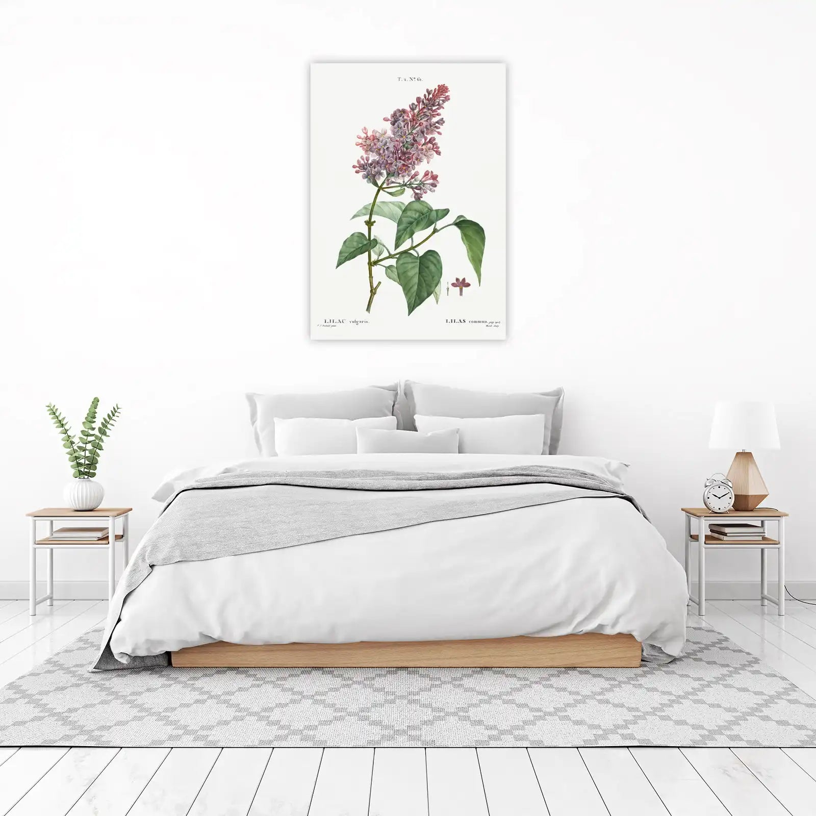 Vintage Lilac Botanical Art Wall Art