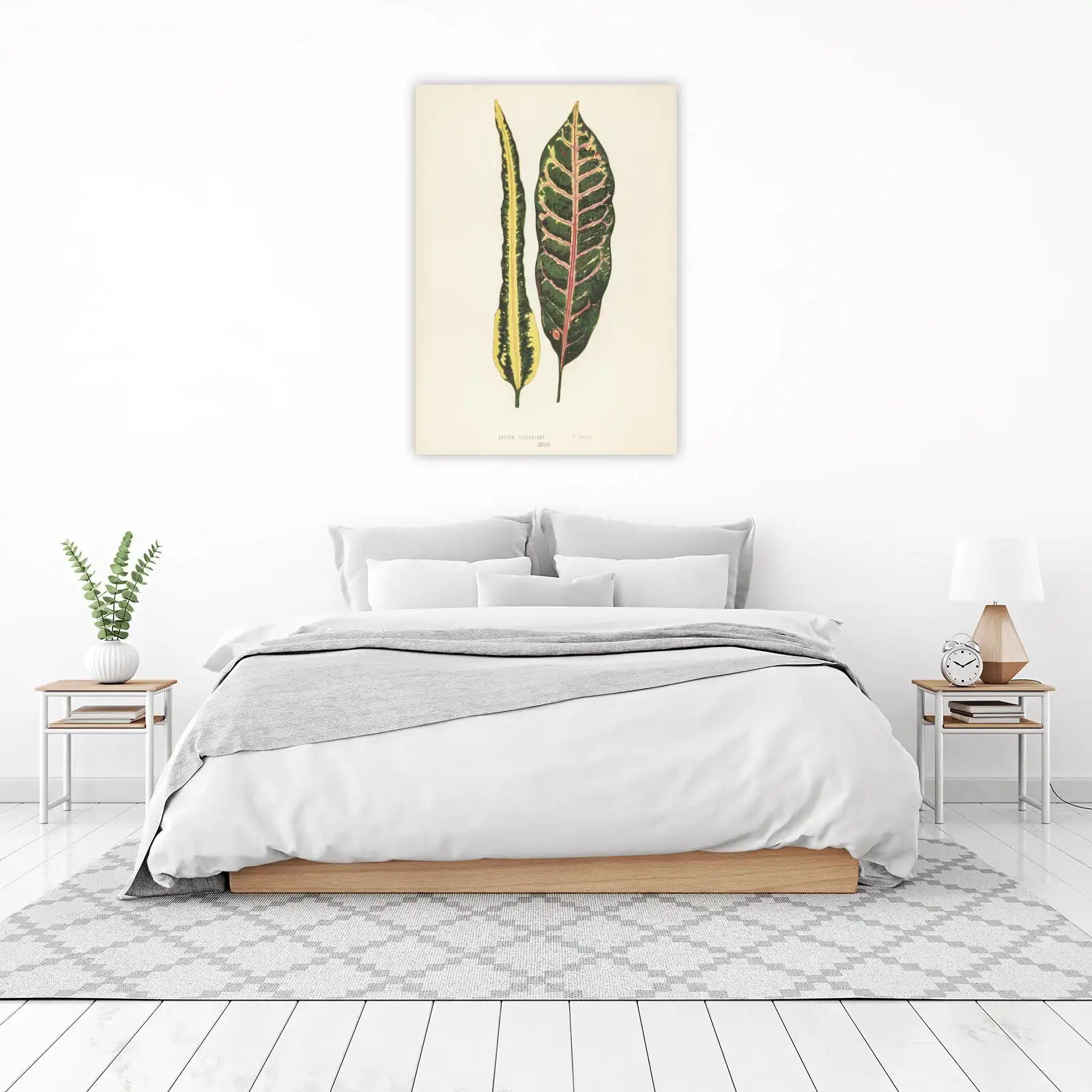 Vintage Croton Leaves Botanical Art Wall Art