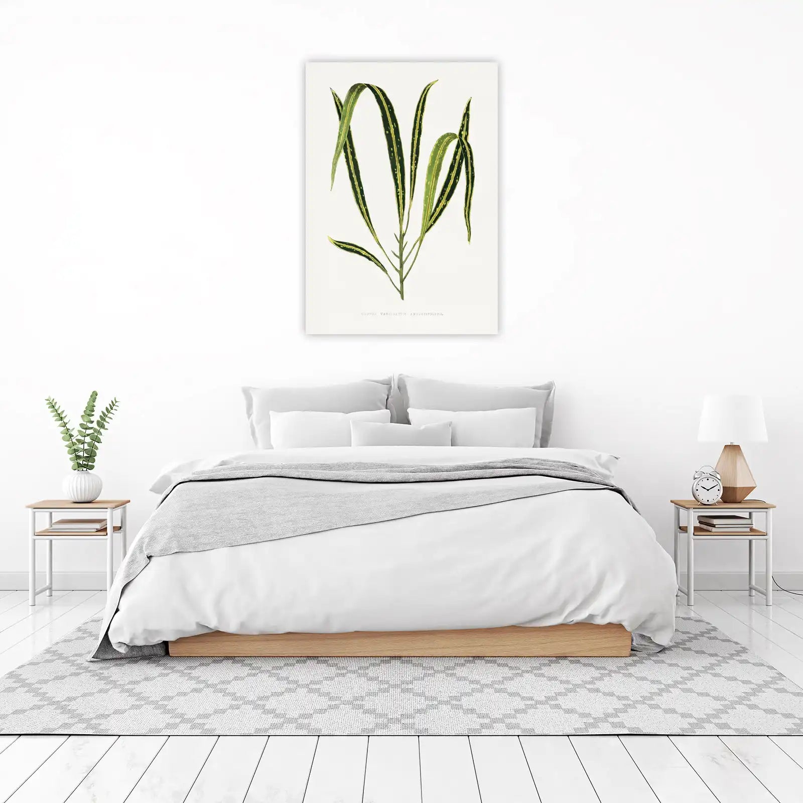 Vintage Croton Plant Botanical Art Wall Art