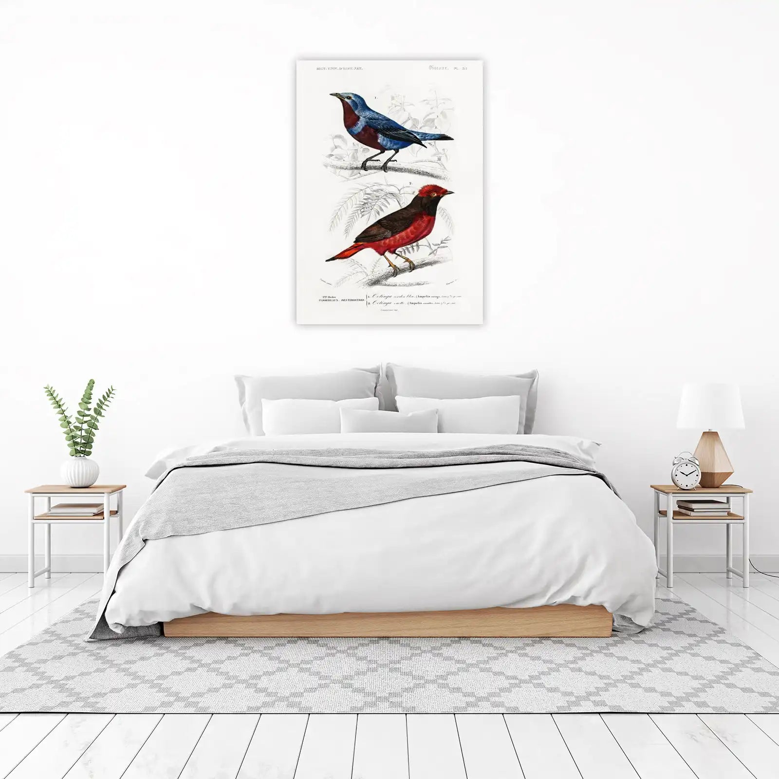 Vibrant Cotinga Birds Vintage Botanical Wall Art