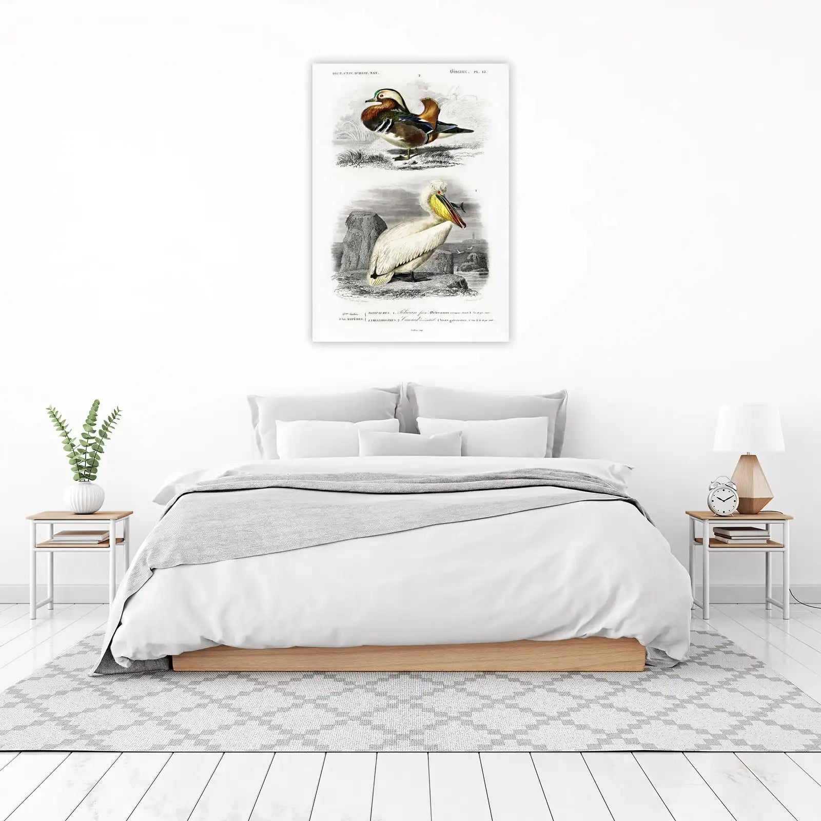 Vintage Duck & Pelican Bird Art Wall Art