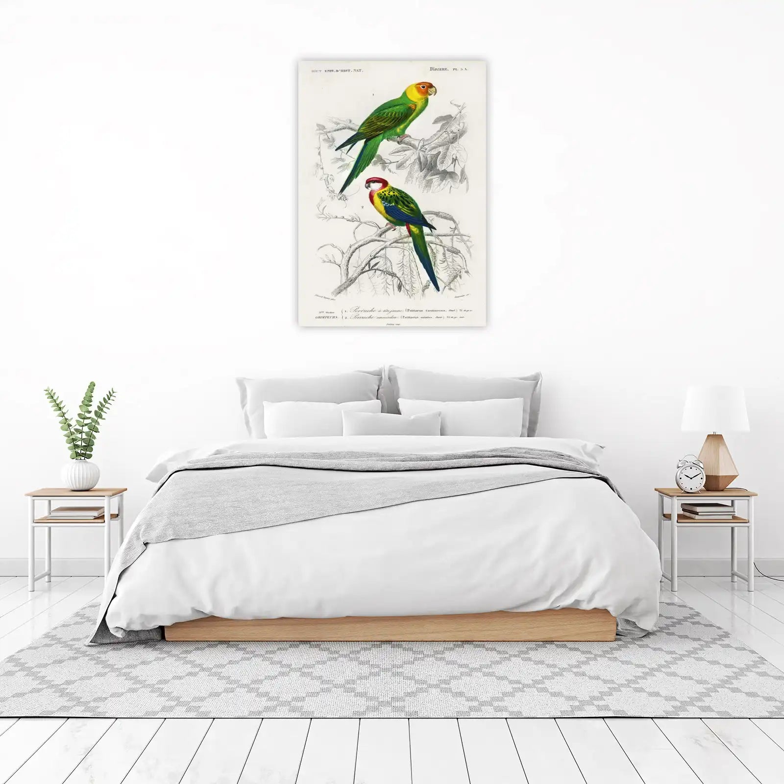 Vintage Parrot Print - Exotic Tropical Bird Wall Art