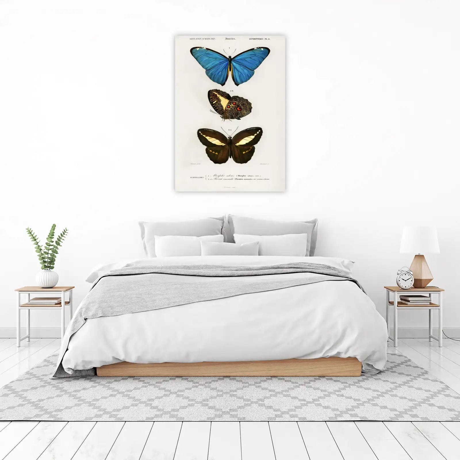 Vintage Butterfly Wall Art Wall Art
