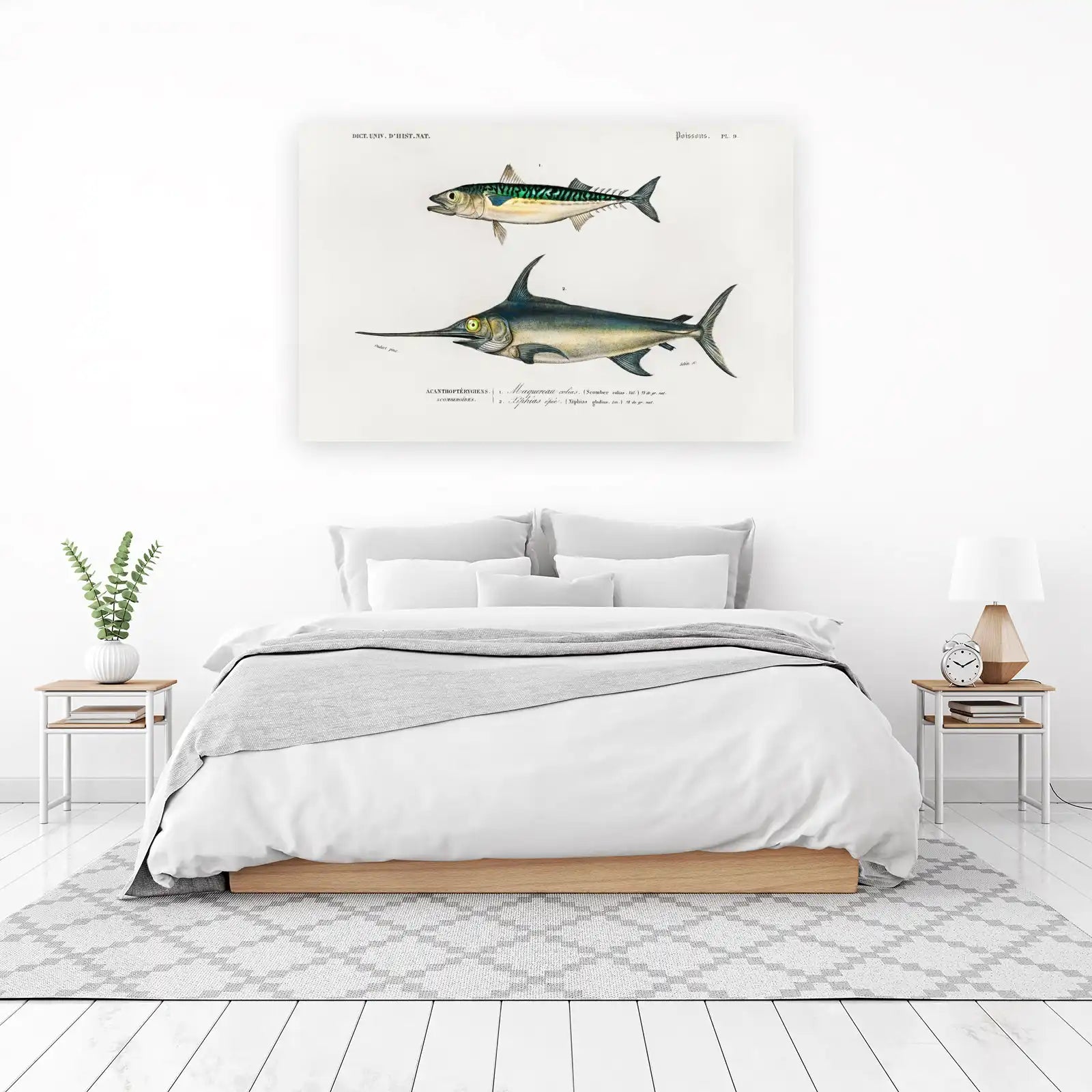 Vintage Mackerel & Swordfish Vintage Fish Wall Art