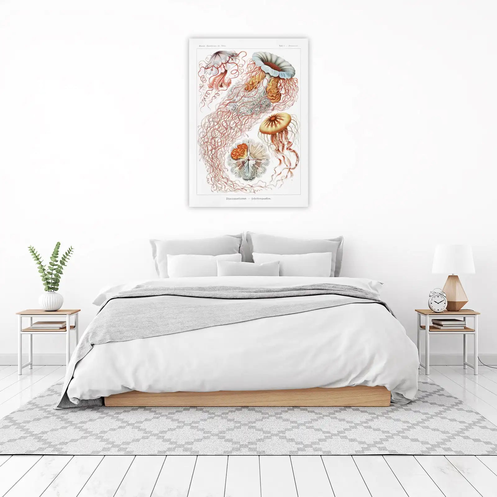 Vintage Jellyfish Anatomy Botanical Wall Art