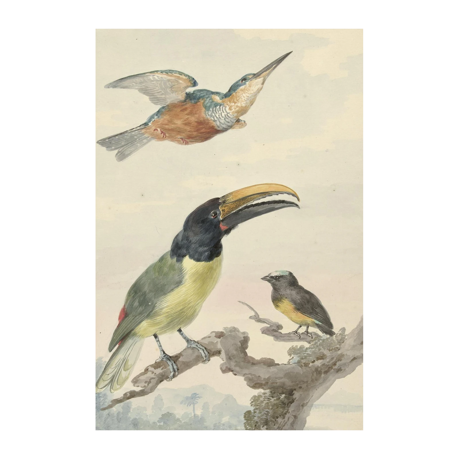 Exotic Bird Trio Watercolor Vintage Wall Art