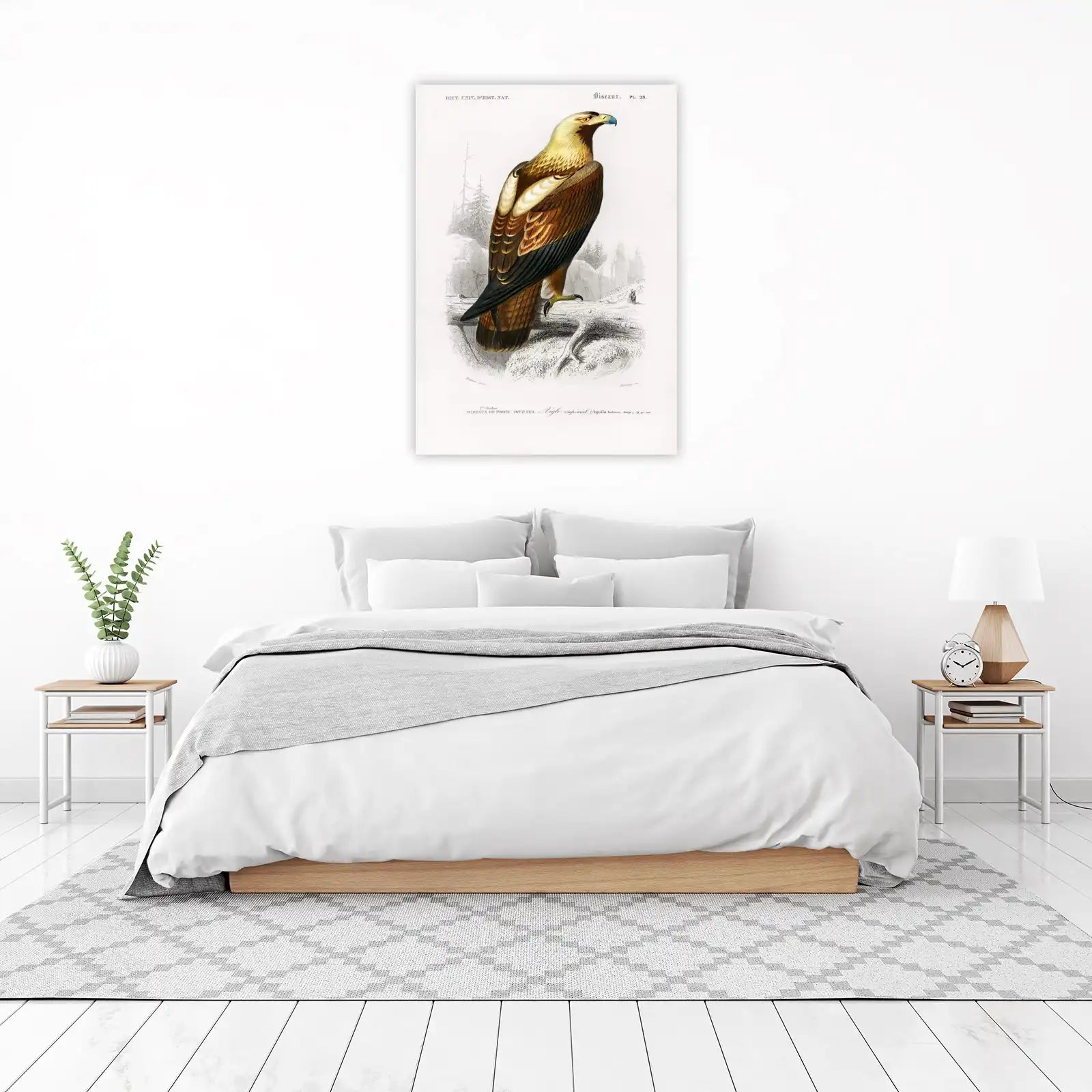 Imperial Eagle Vintage Ornithology Wall Art