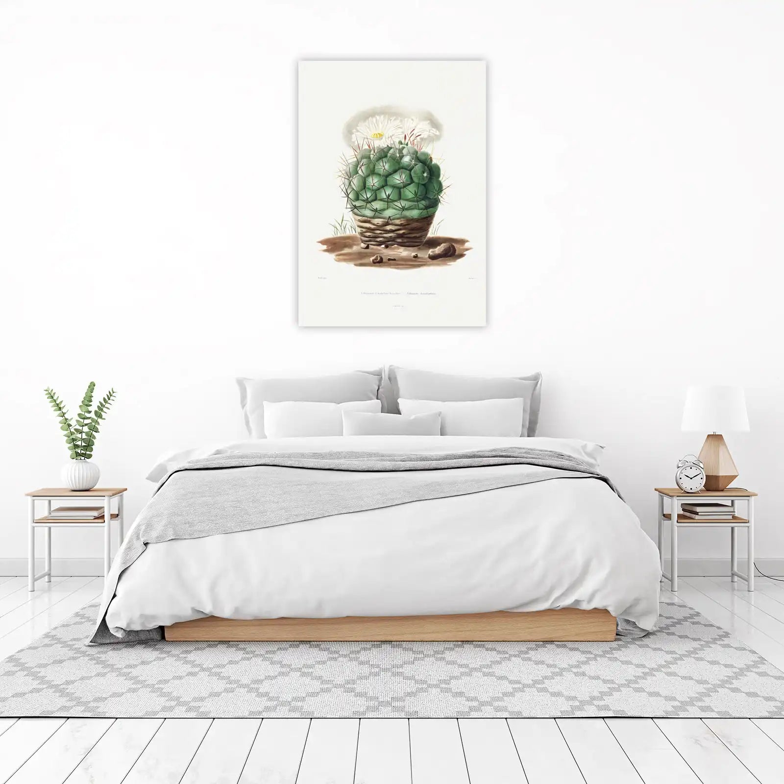 Vintage Echinocactus Hexaedrus Wall Art