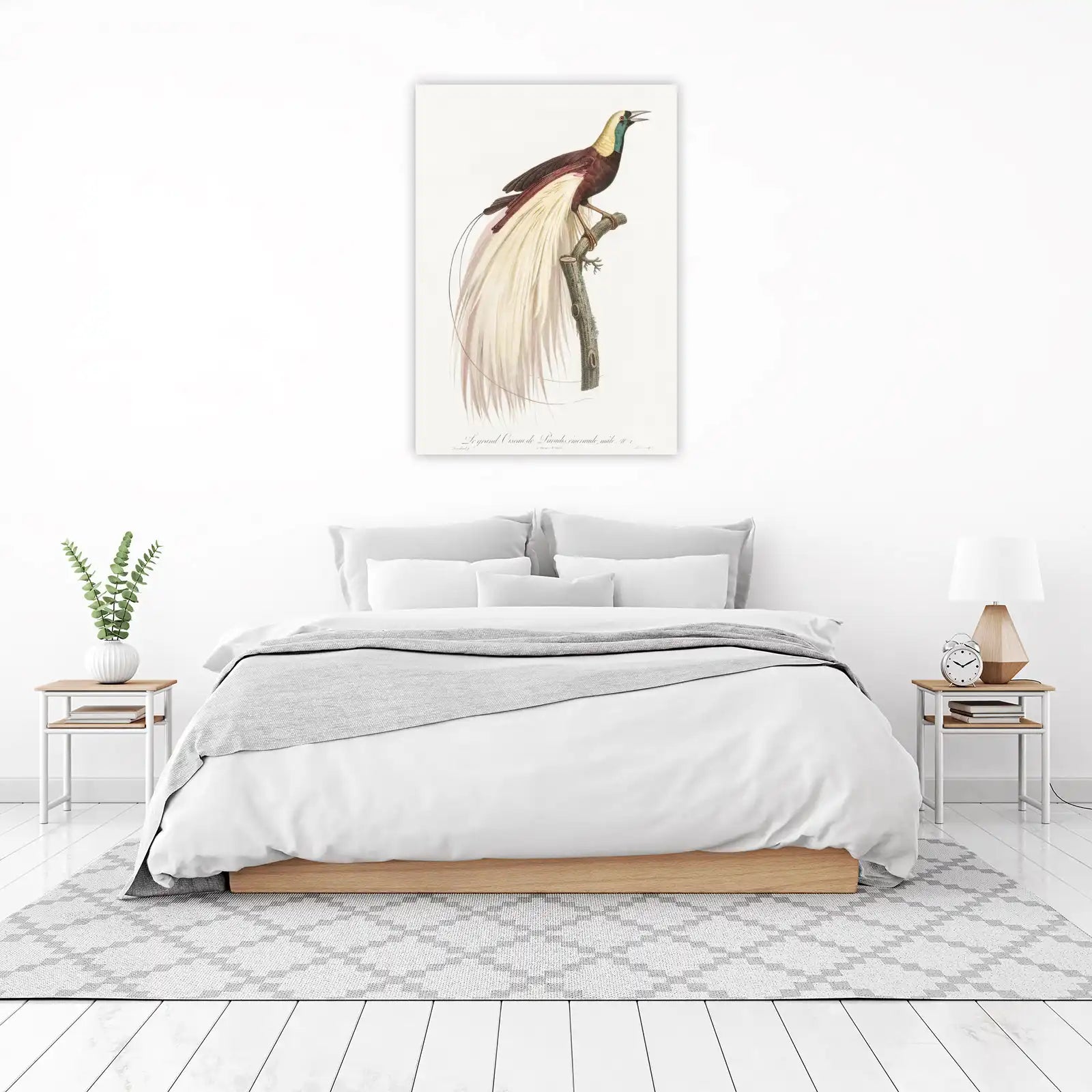 Exotic Bird of Paradise Wall Art