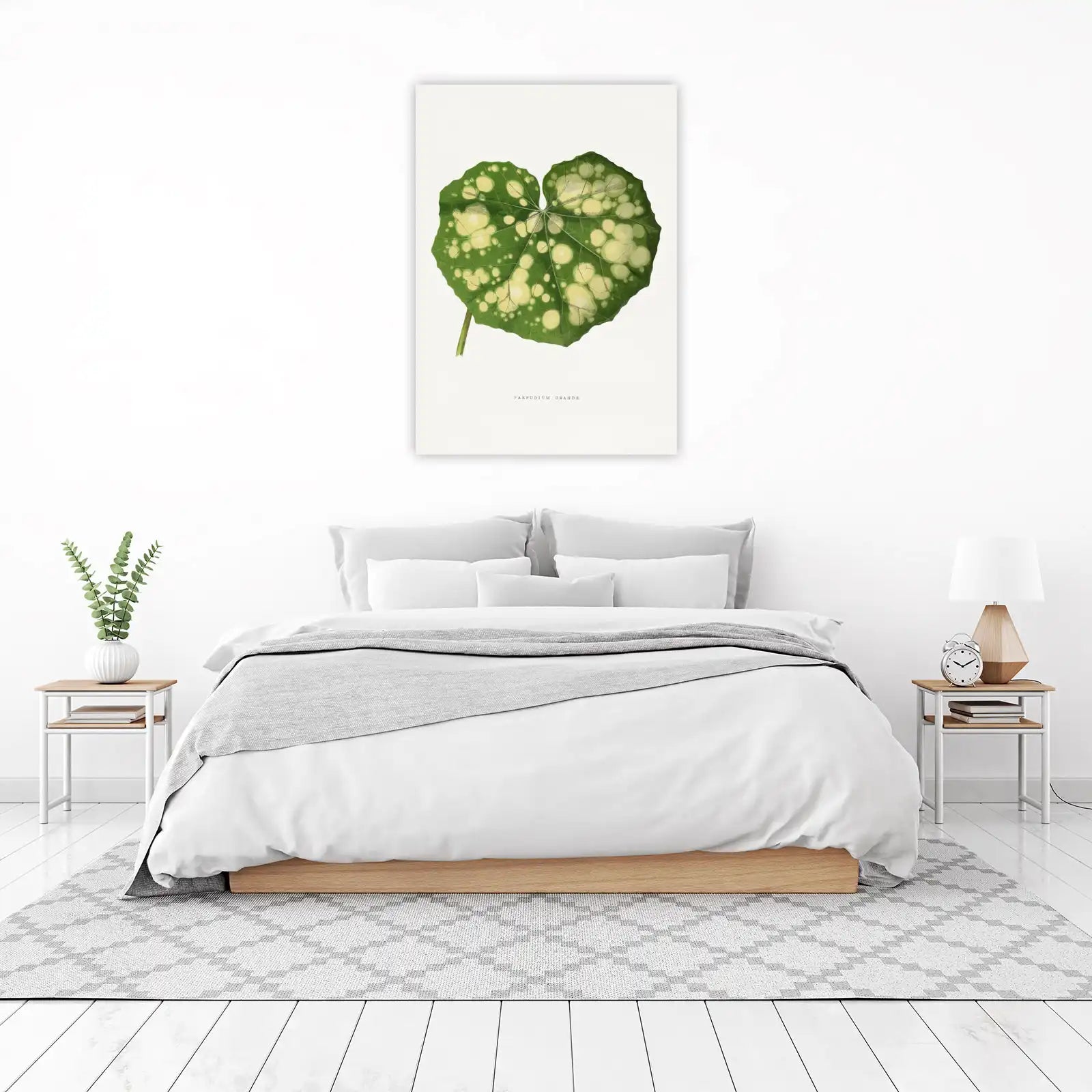 Vintage Green Leaf Botanical Farfugium Grande Wall Art