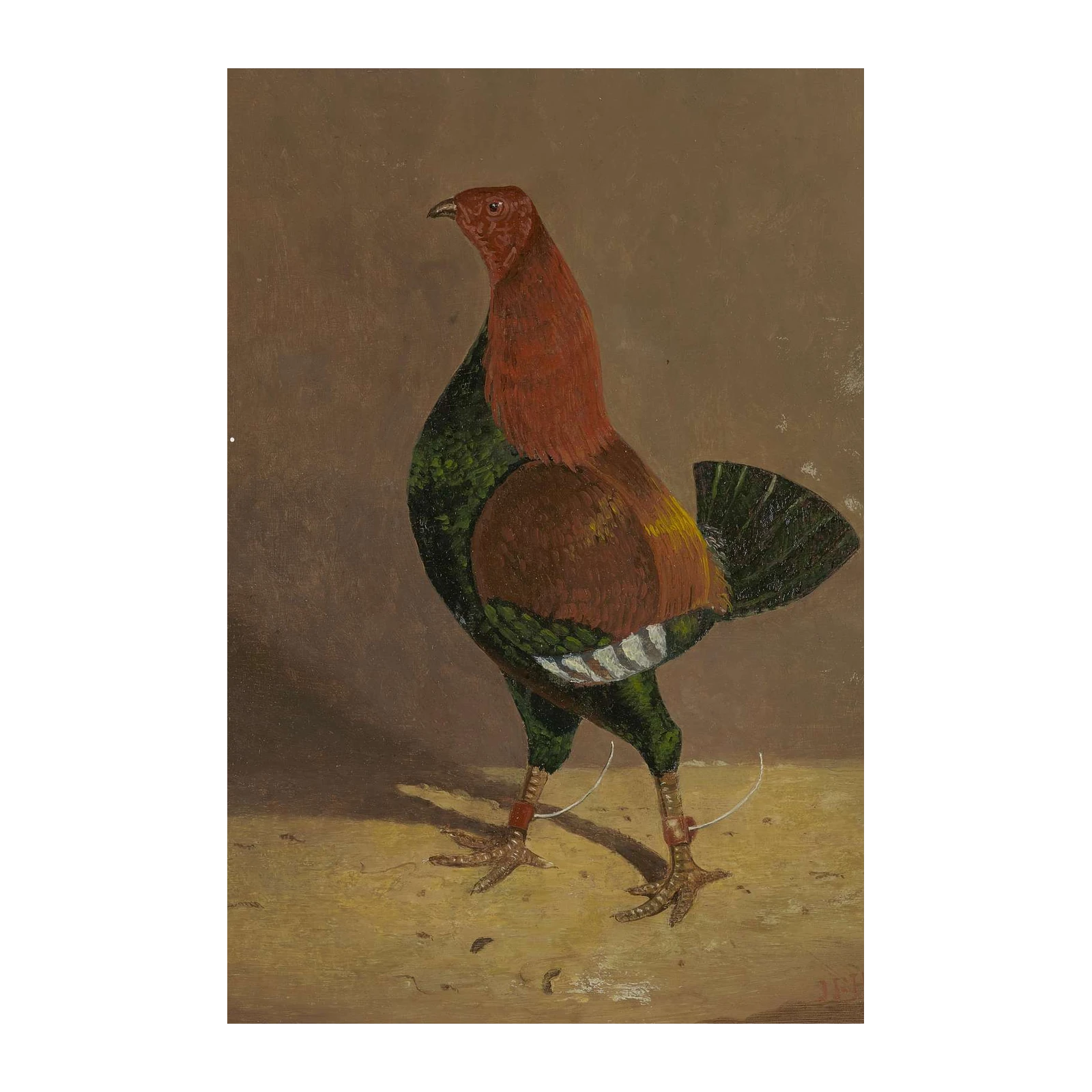 Vintage Rooster Art Wall Art