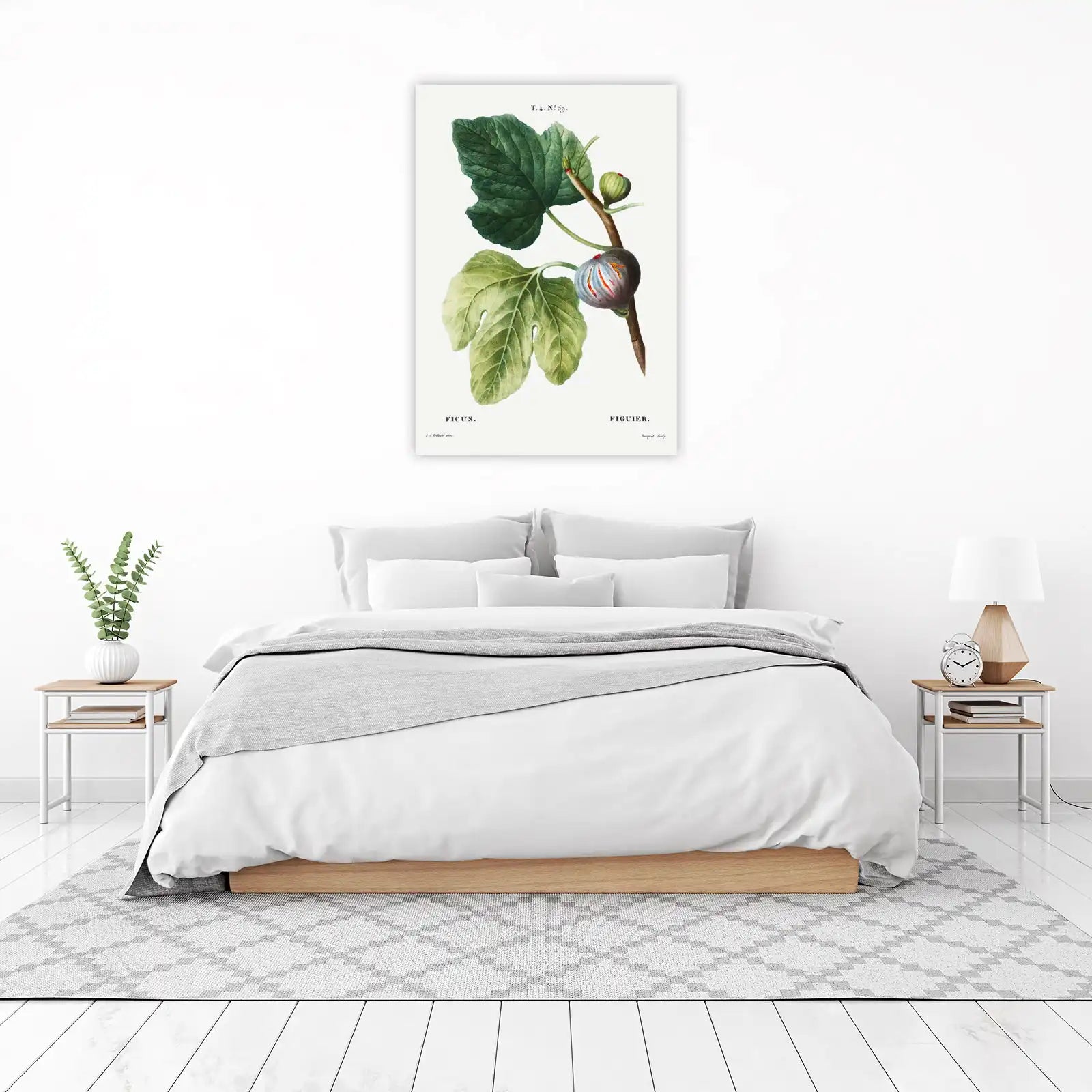 Botanical Fig Vintage Wall Art Wall Art