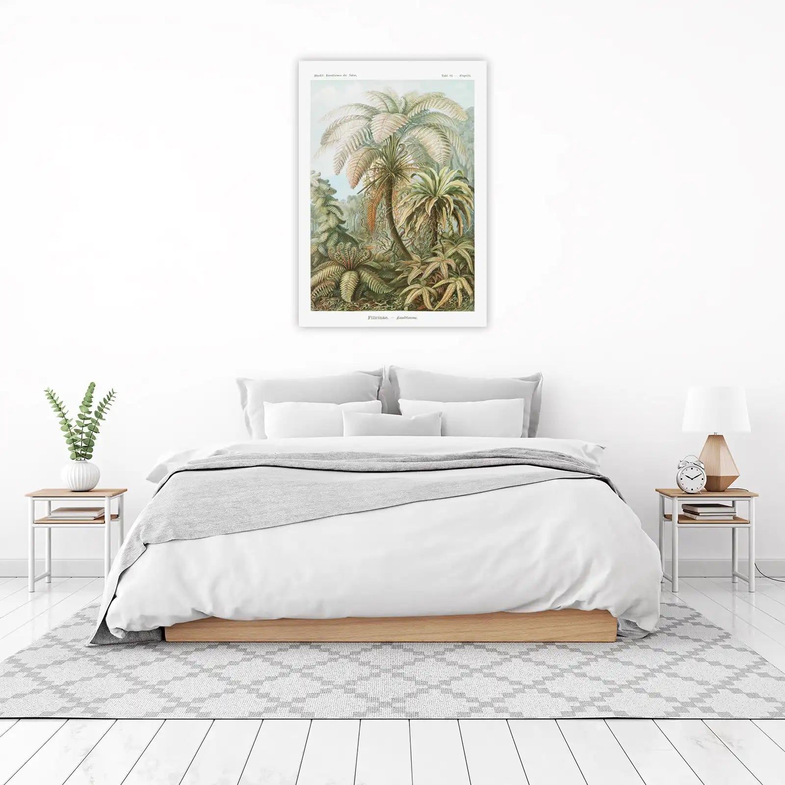 Vintage Fern Botanical Illustration Wall Art