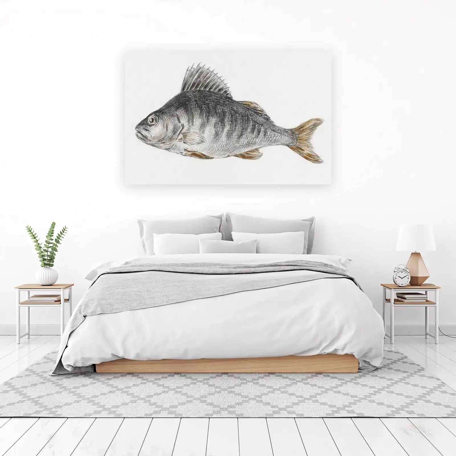Vintage Perch Fish Study Wall Art