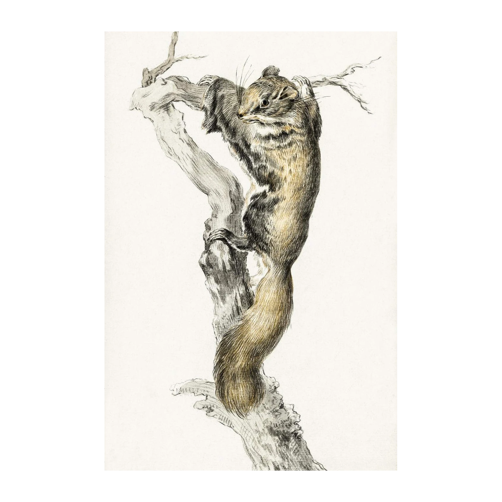 Vintage Squirrel Climbing Tree Wall Art