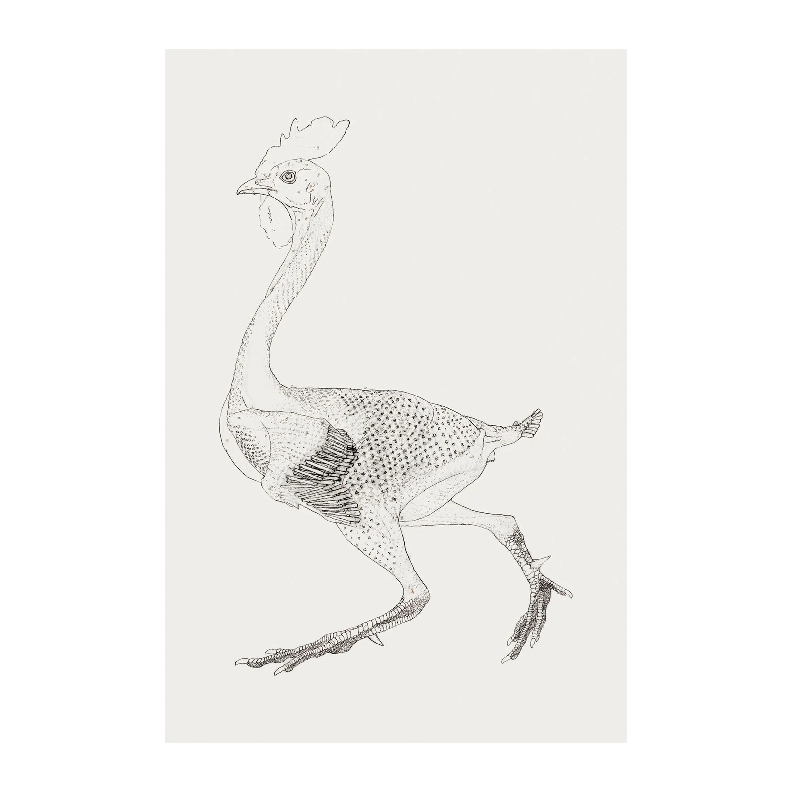 Whimsical Chicken Sketch Wall Art