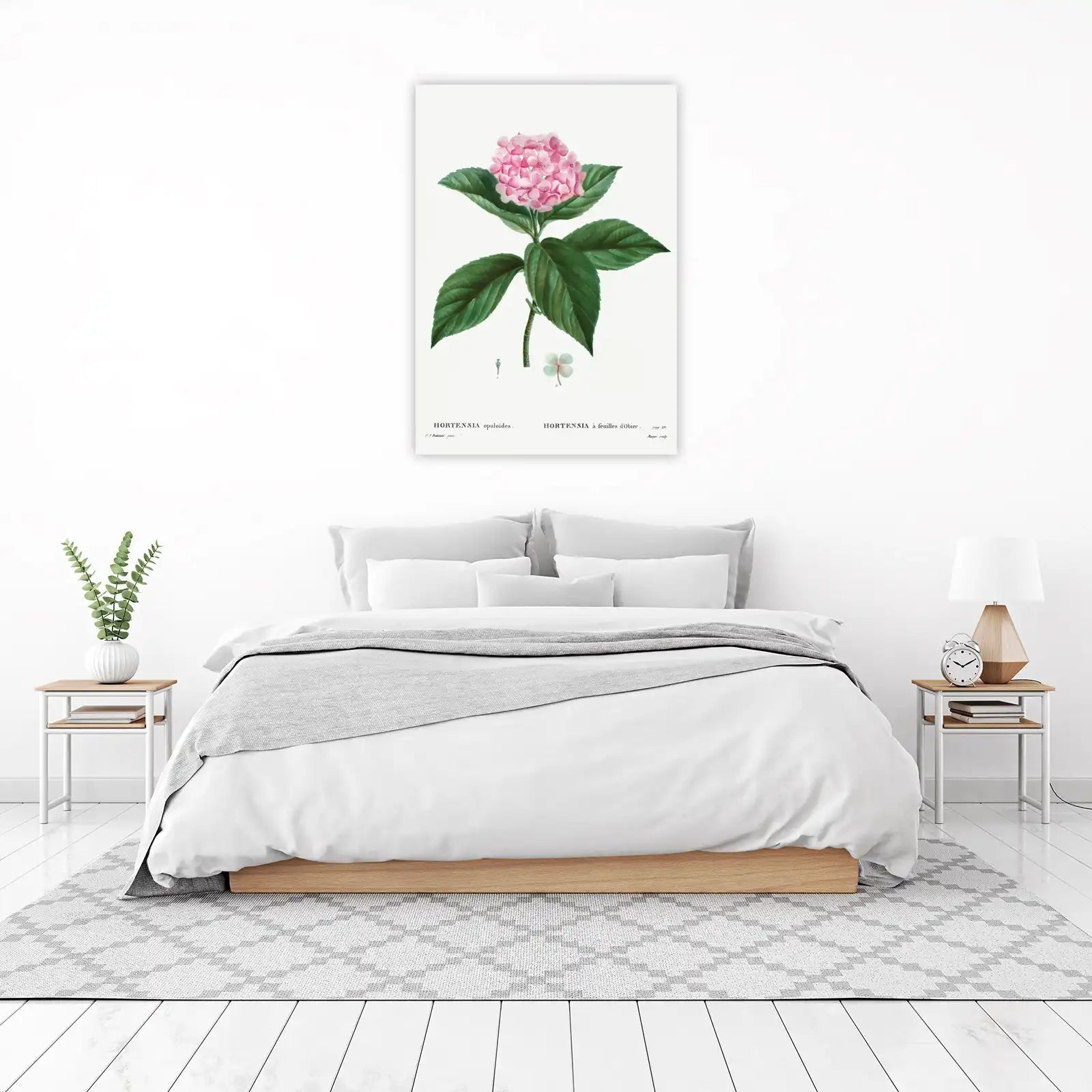 Vintage Pink Hydrangea Botanical Art Wall Art