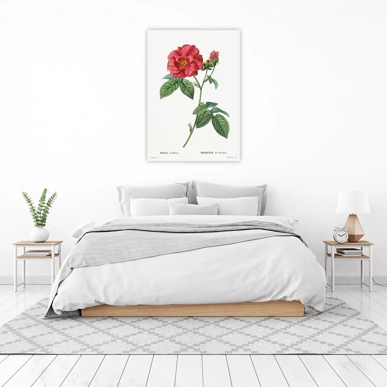 Vintage Red Rose Botanical Wall Art
