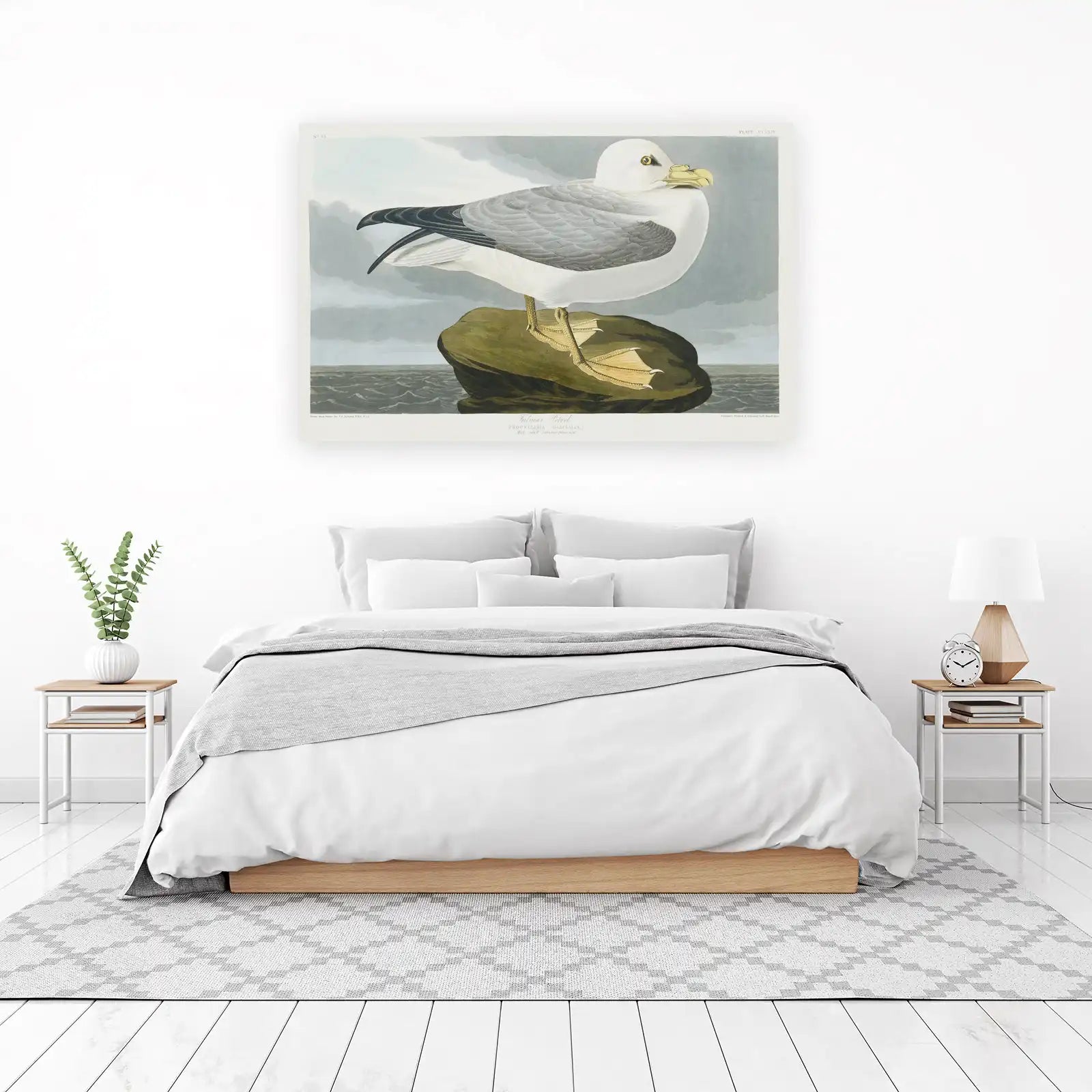 Fulmar Petrel Bird Art Wall Art