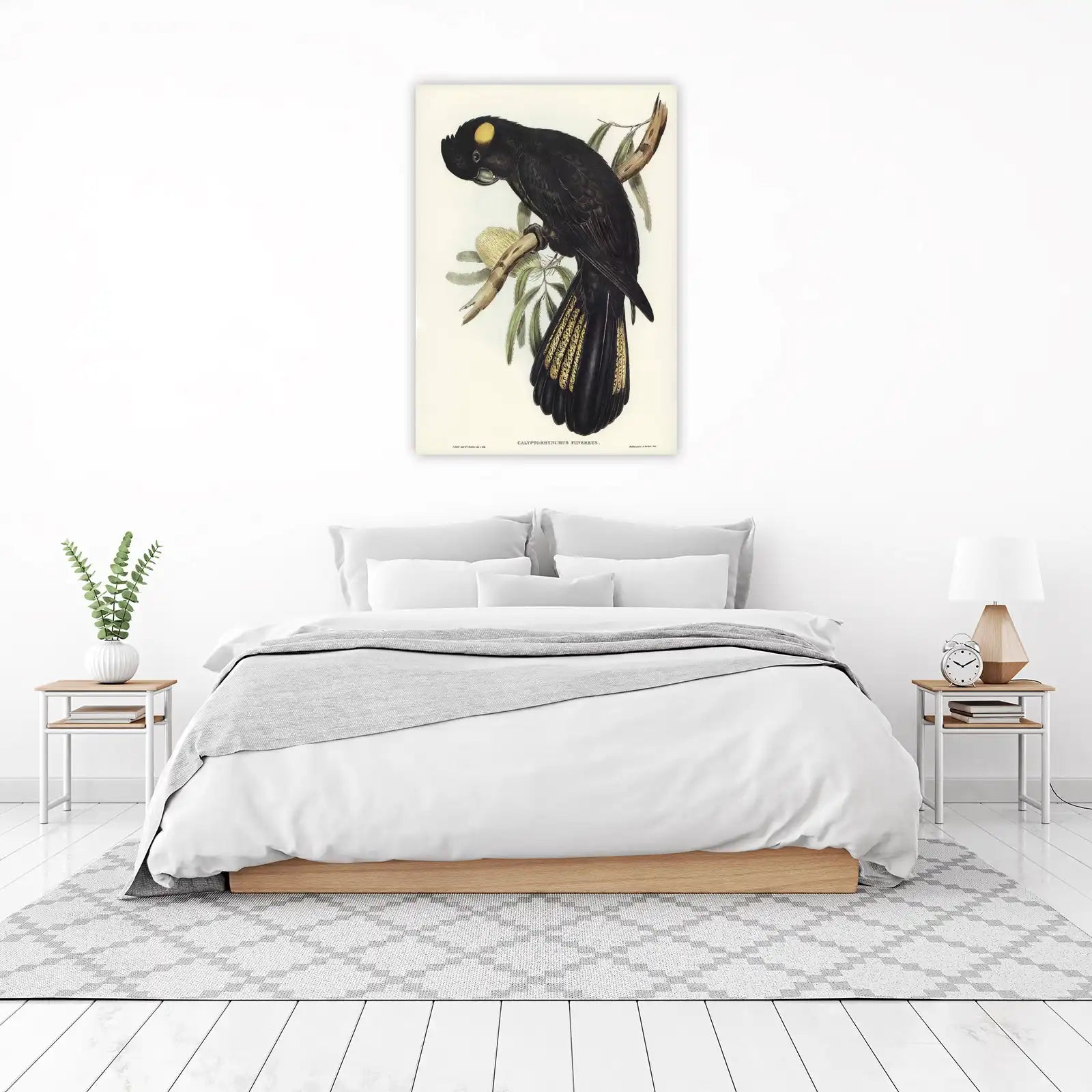 Yellow-tailed Black Cockatoo Vintage Bird Wall Art
