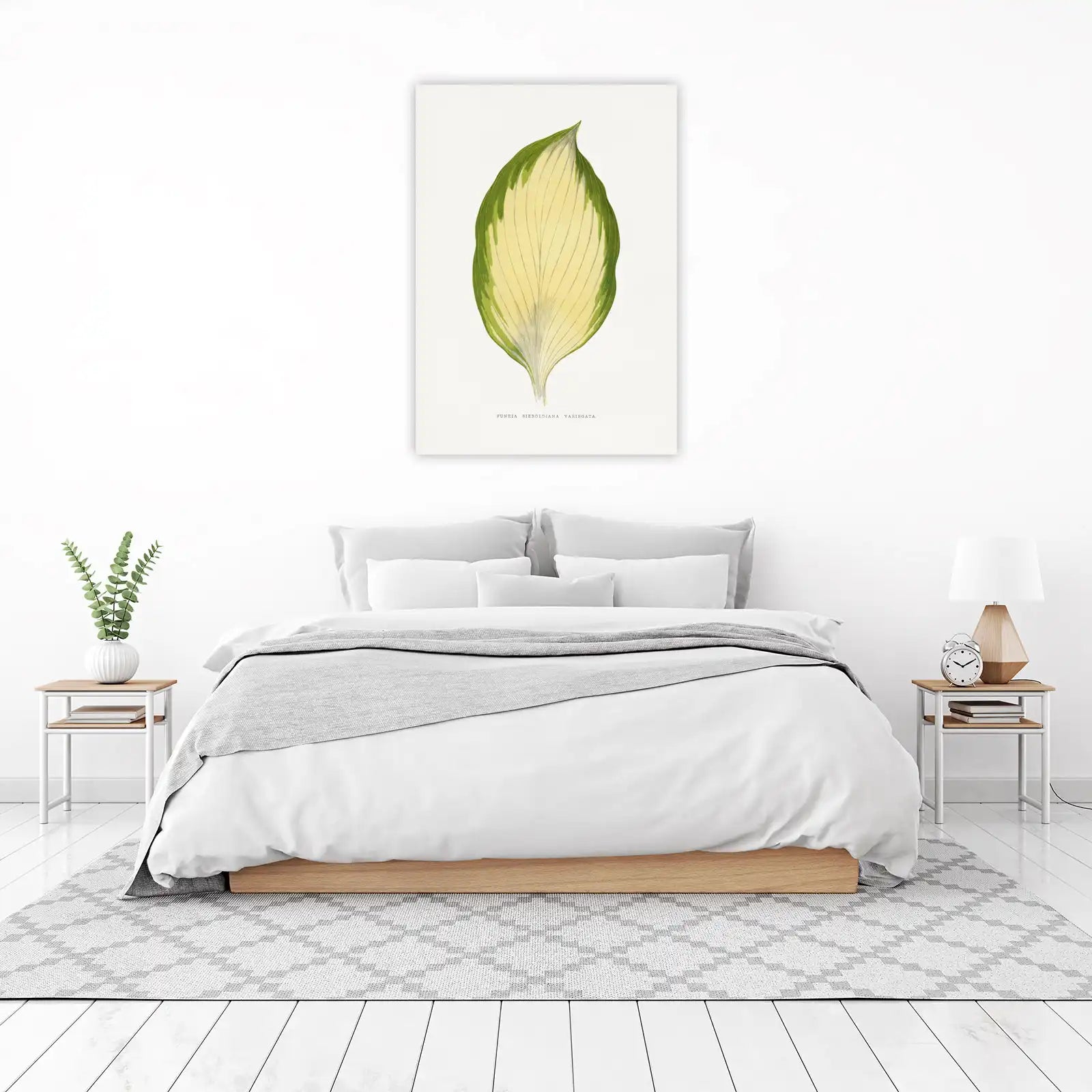 Vintage Hosta Leaf Botanical Art Wall Art