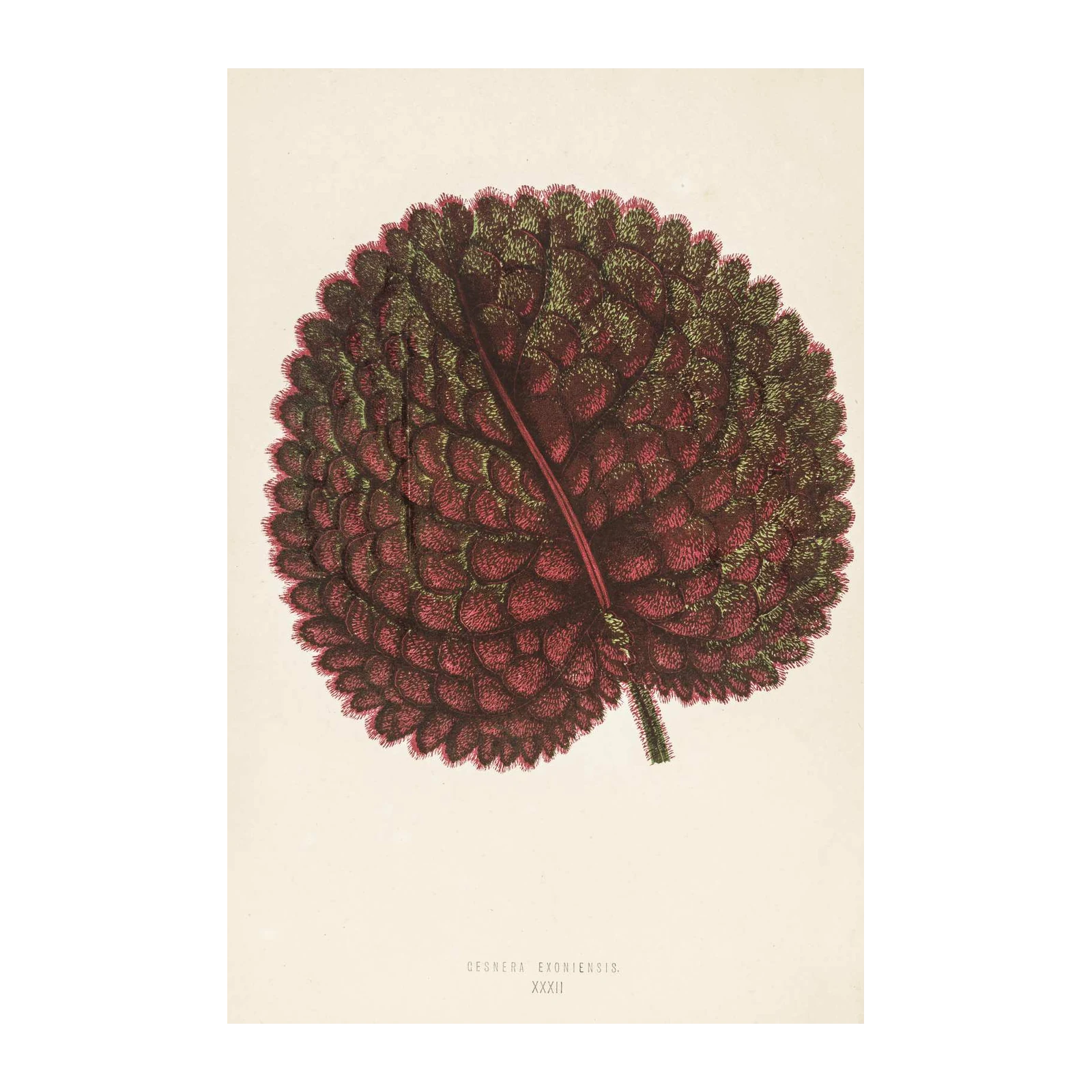 Vintage Botanical Leaf Wall Art