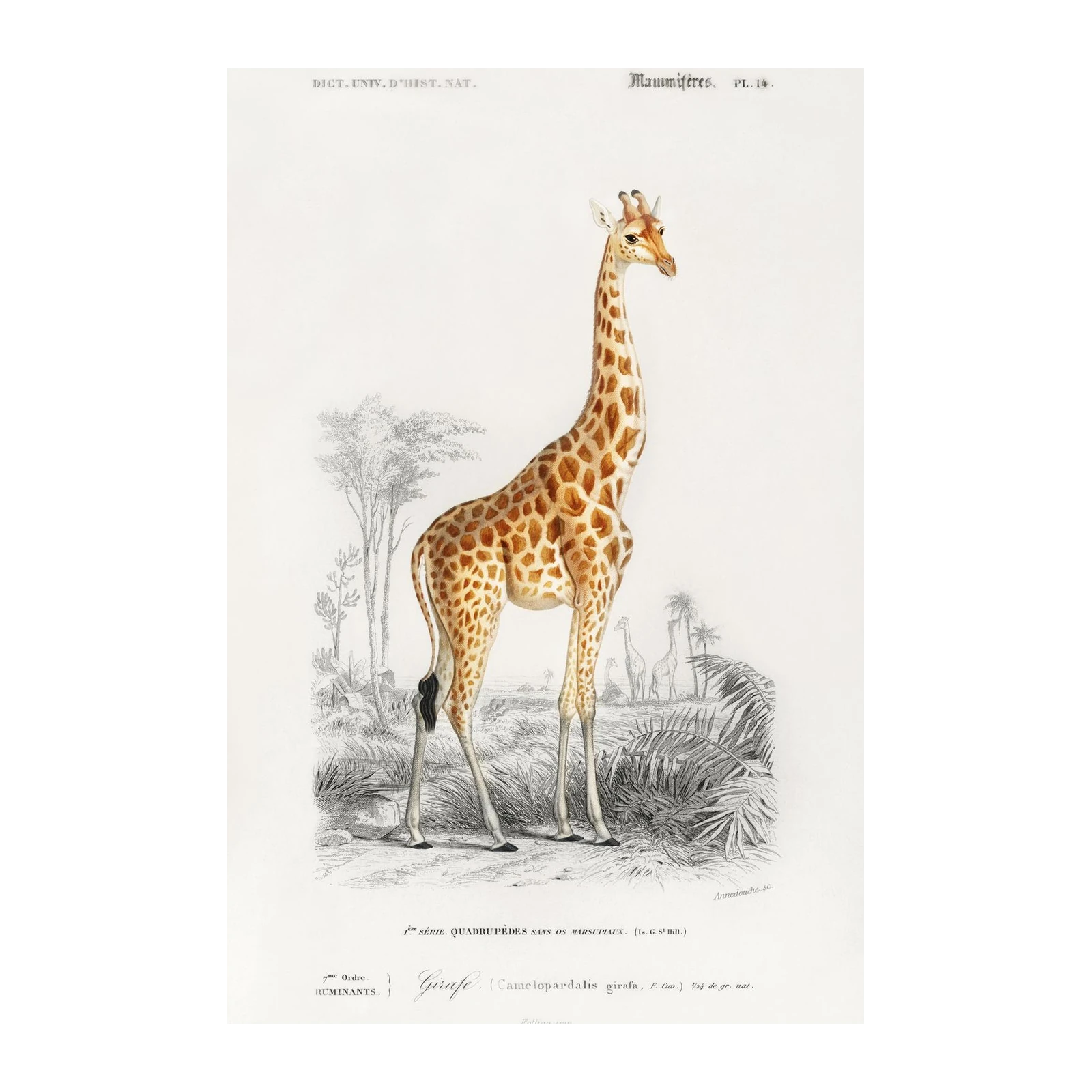 Vintage Giraffe Safari Wall Art