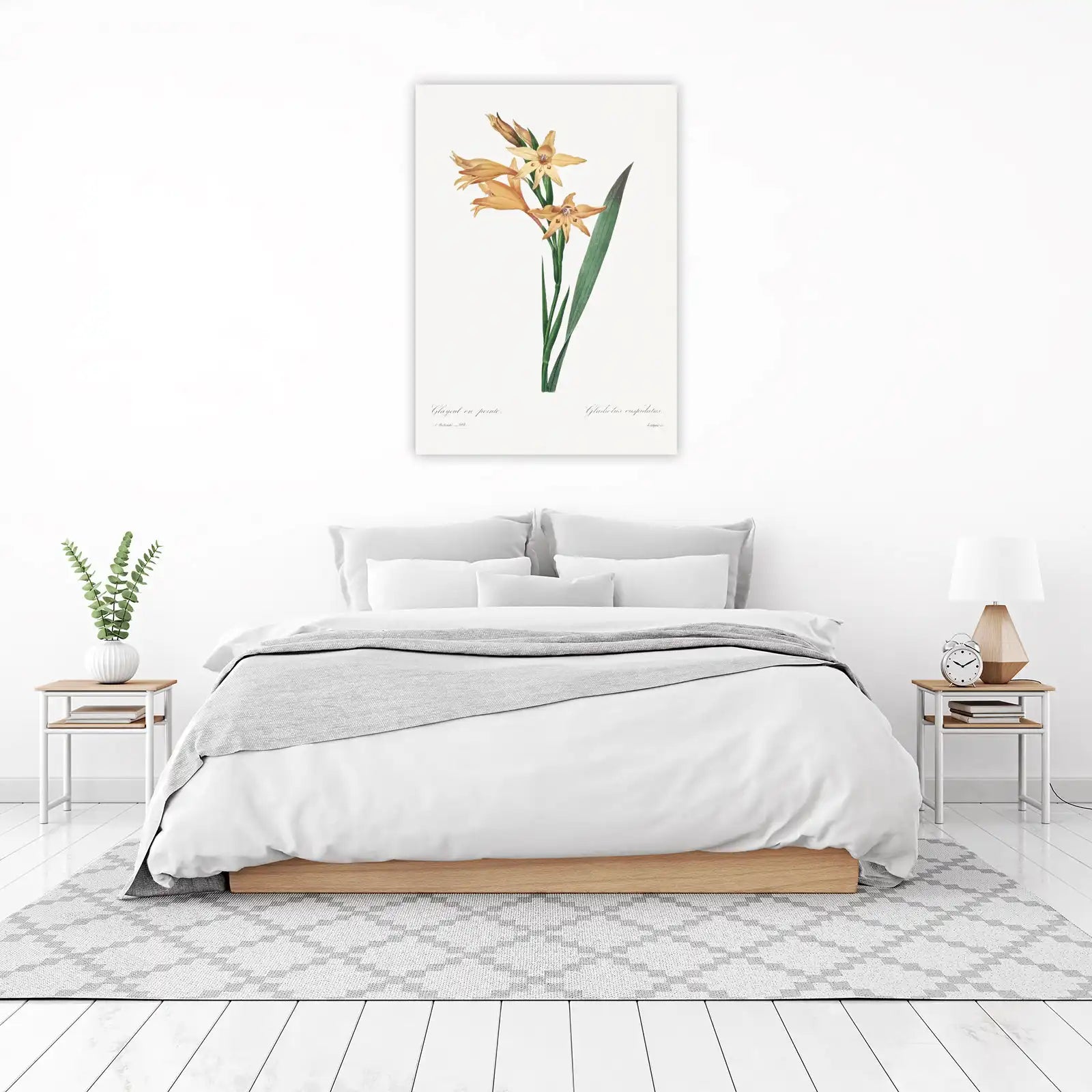 Vintage Botanical Peach Gladiolus Wall Art