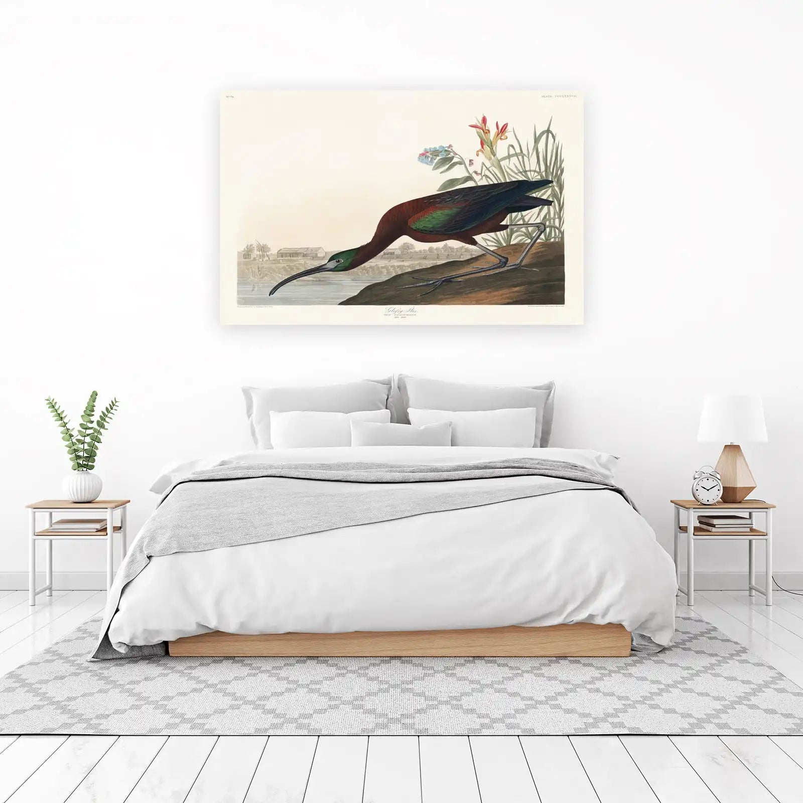 Glossy Ibis Vintage Bird Art Wall Art