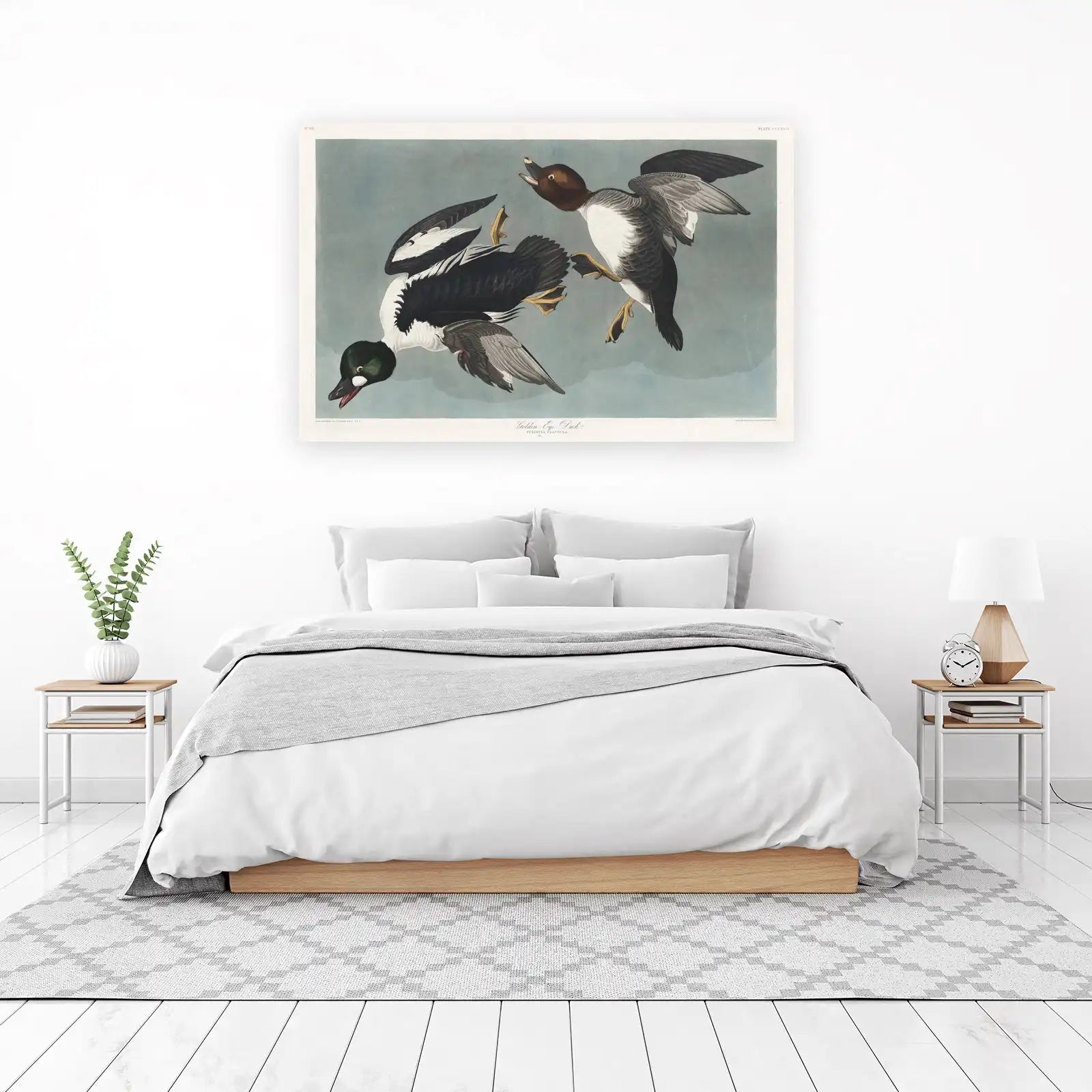 Goldeneye Duck Vintage Bird Art Wall Art