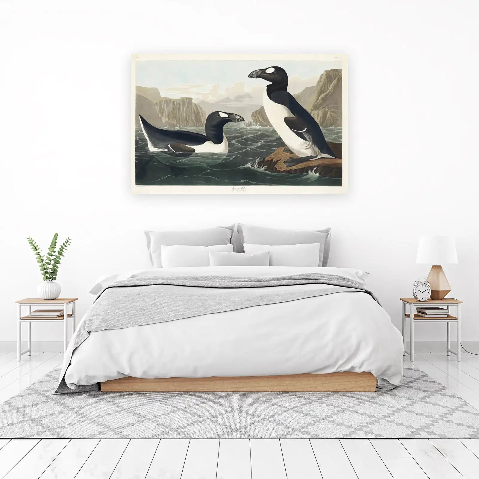 Great Auk Coastal Bird Art Wall Art