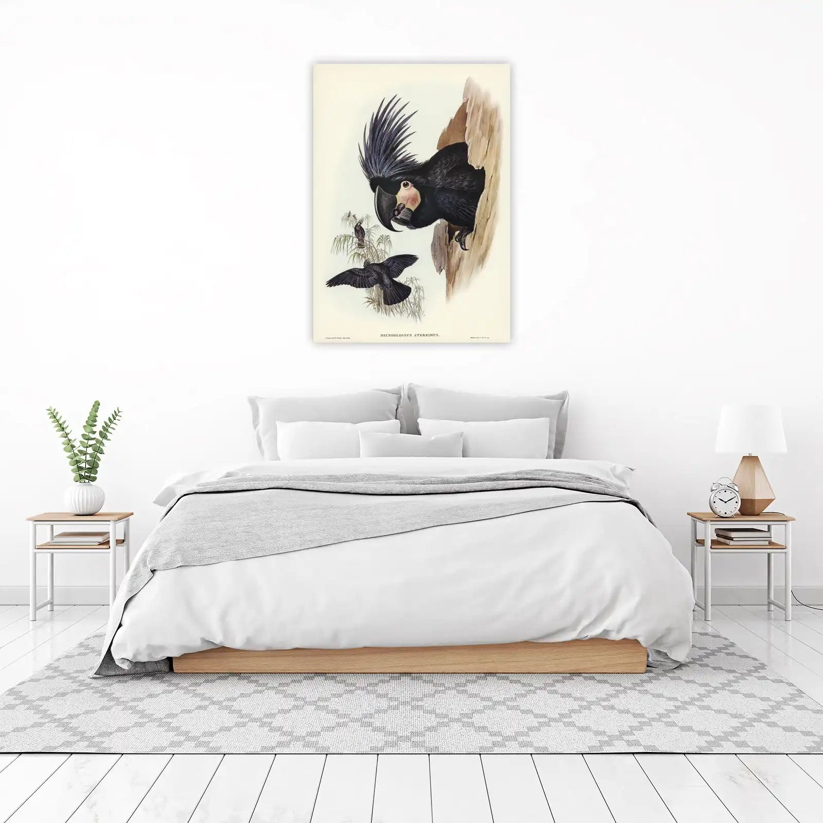Elegant Black Cockatoo Aviary Art Wall Art