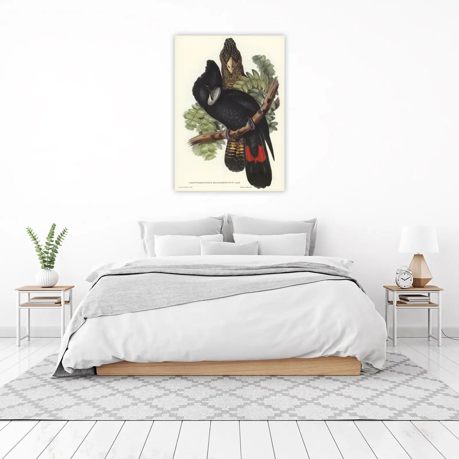 Elegant Black Cockatoo Art Wall Art