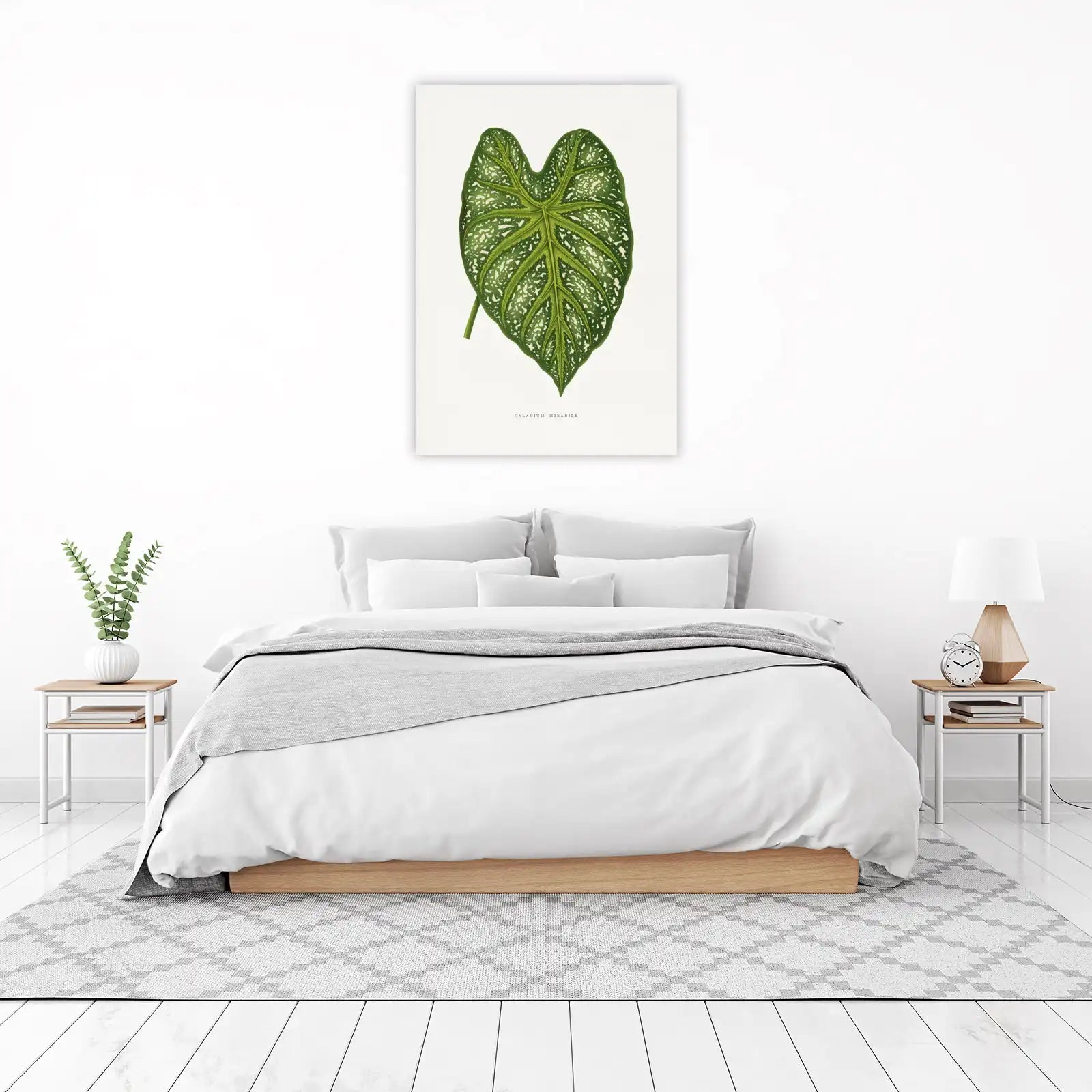 Botanical Caladium Leaf Art Wall Art
