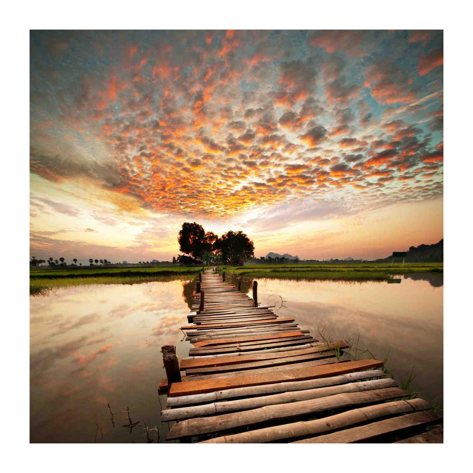 Tranquil Sunrise Pier Landscape Wall Art