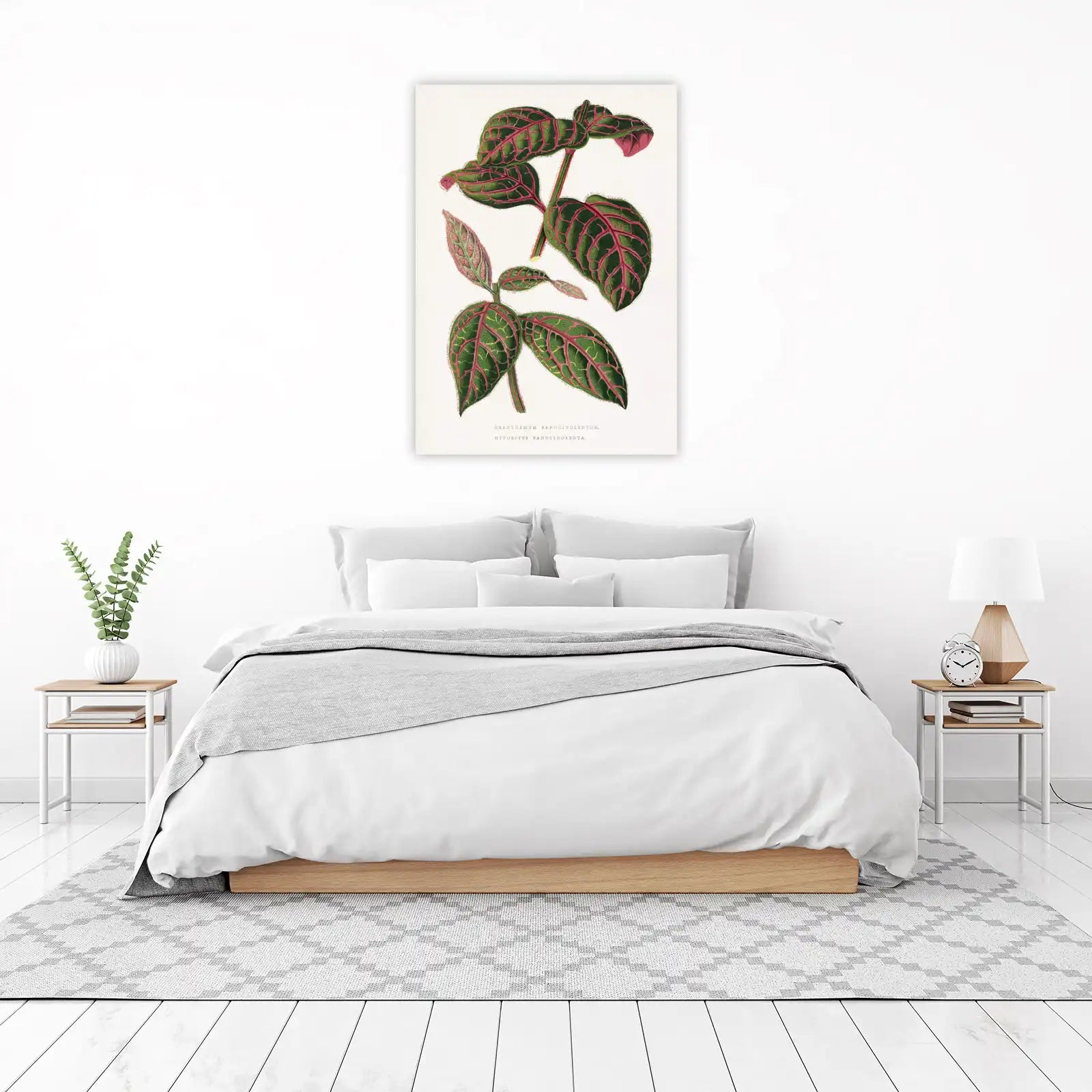 Exotic Hypoestes Sanguinolenta Botanical Wall Art