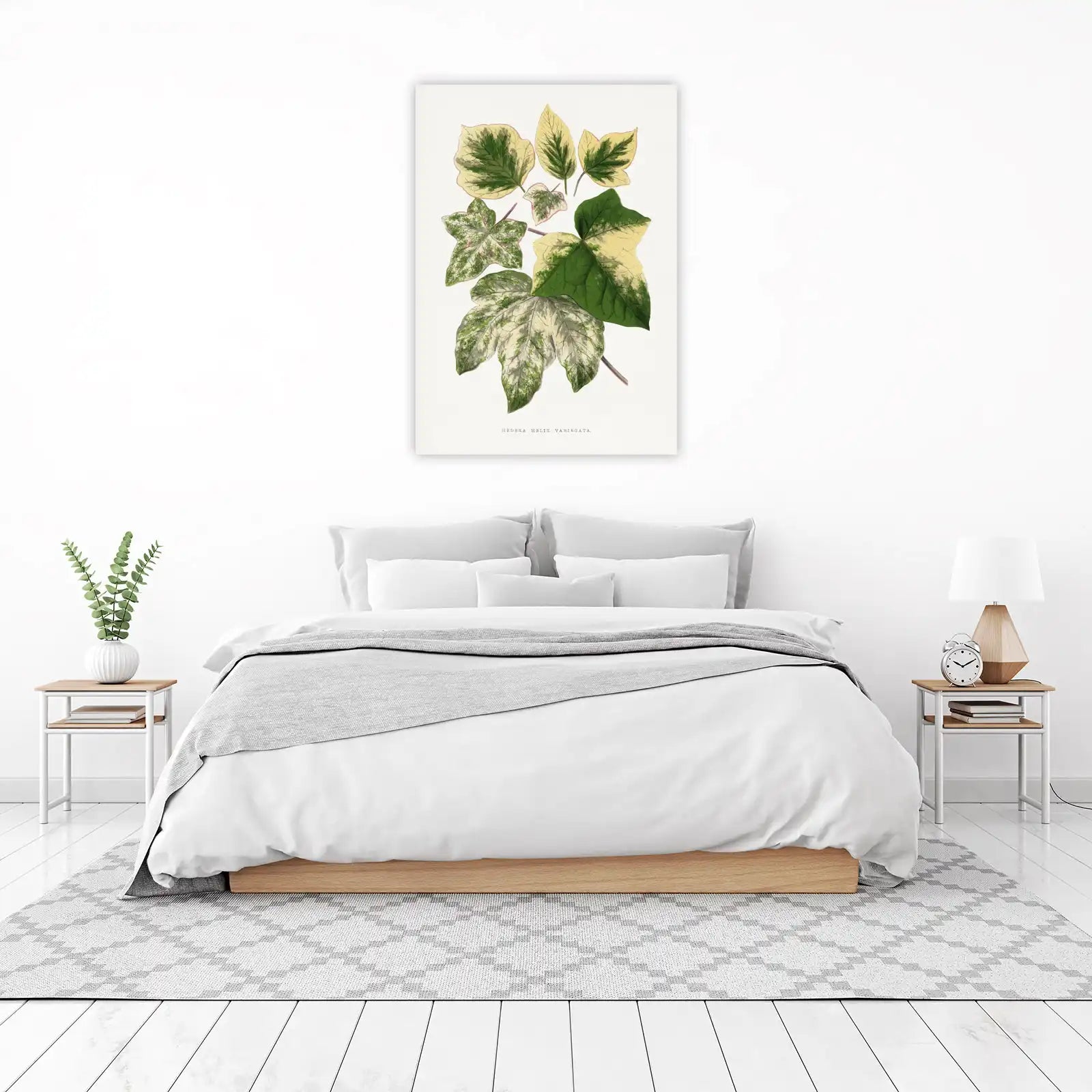 Variegated Ivy Botanical Vintage Wall Art