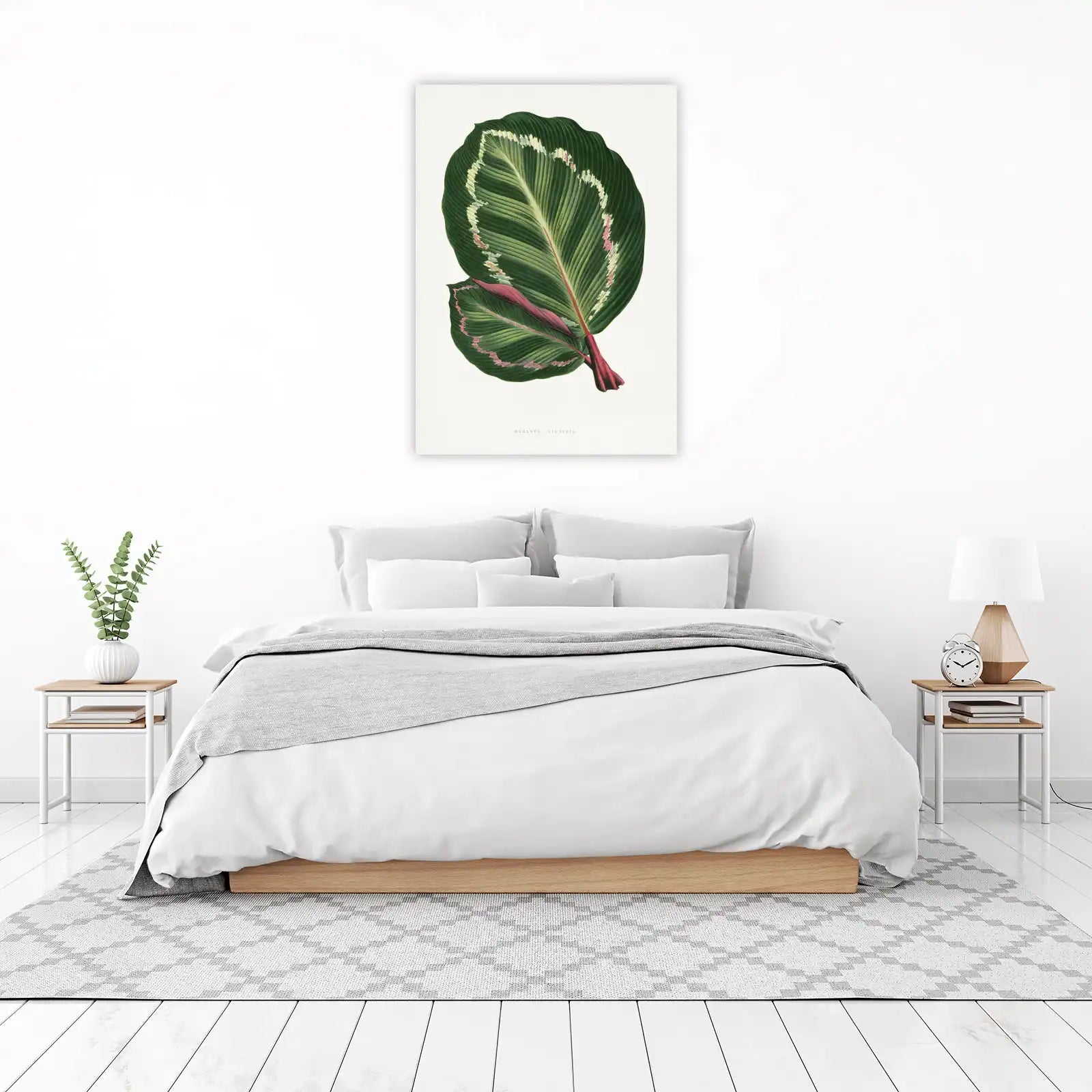 Botanical Maranta Leaf Wall Art Wall Art