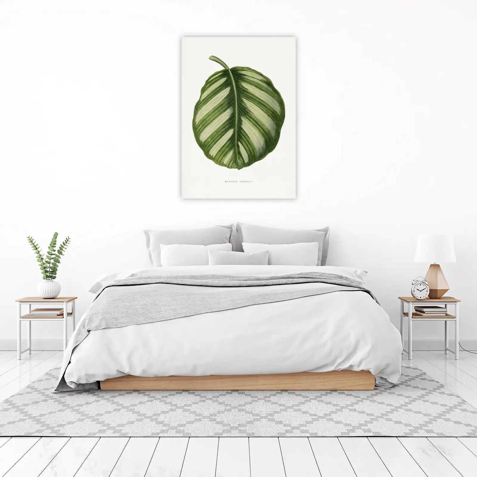 Maranta Fasciata Botanical Leaf Wall Art