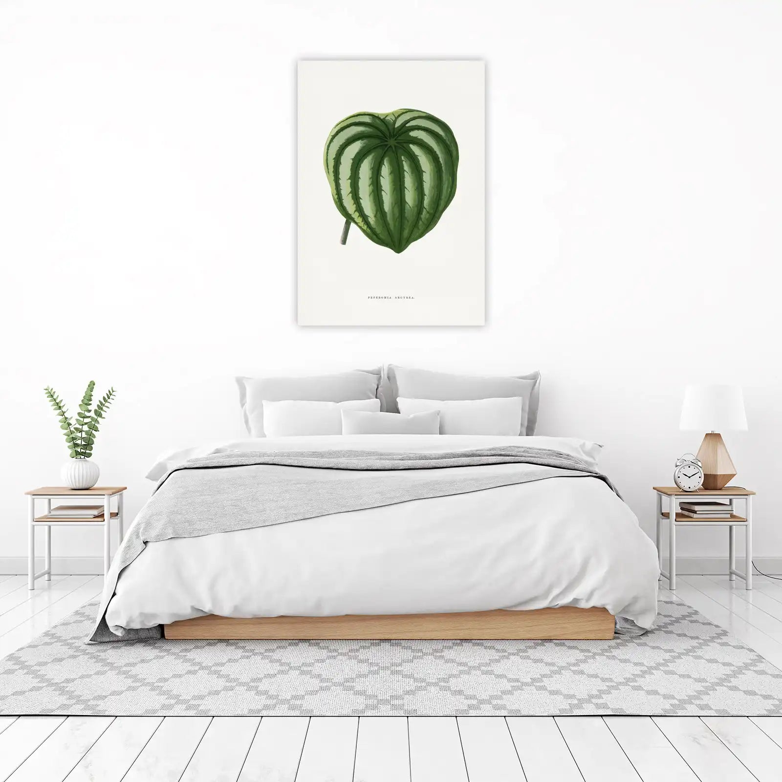 Watermelon Peperomia Leaf Botanical Wall Art