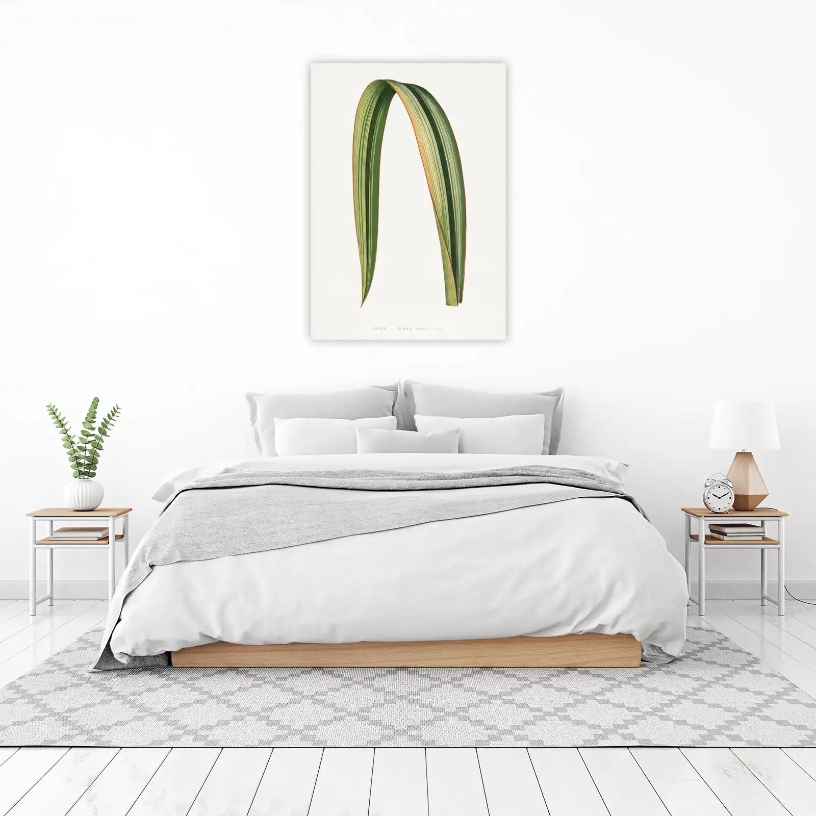 Variegated Phormium Leaf Botanical Wall Art