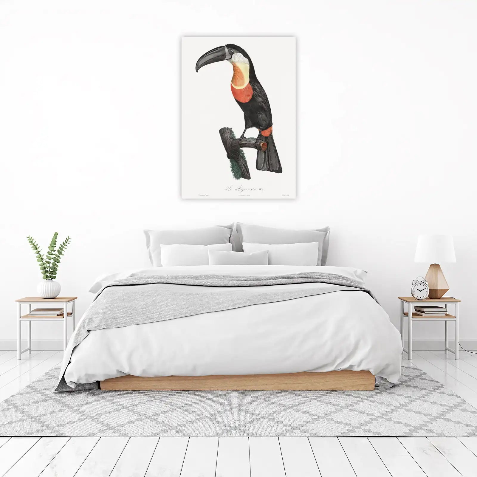 Elegant Toucan Vintage Bird Art Wall Art
