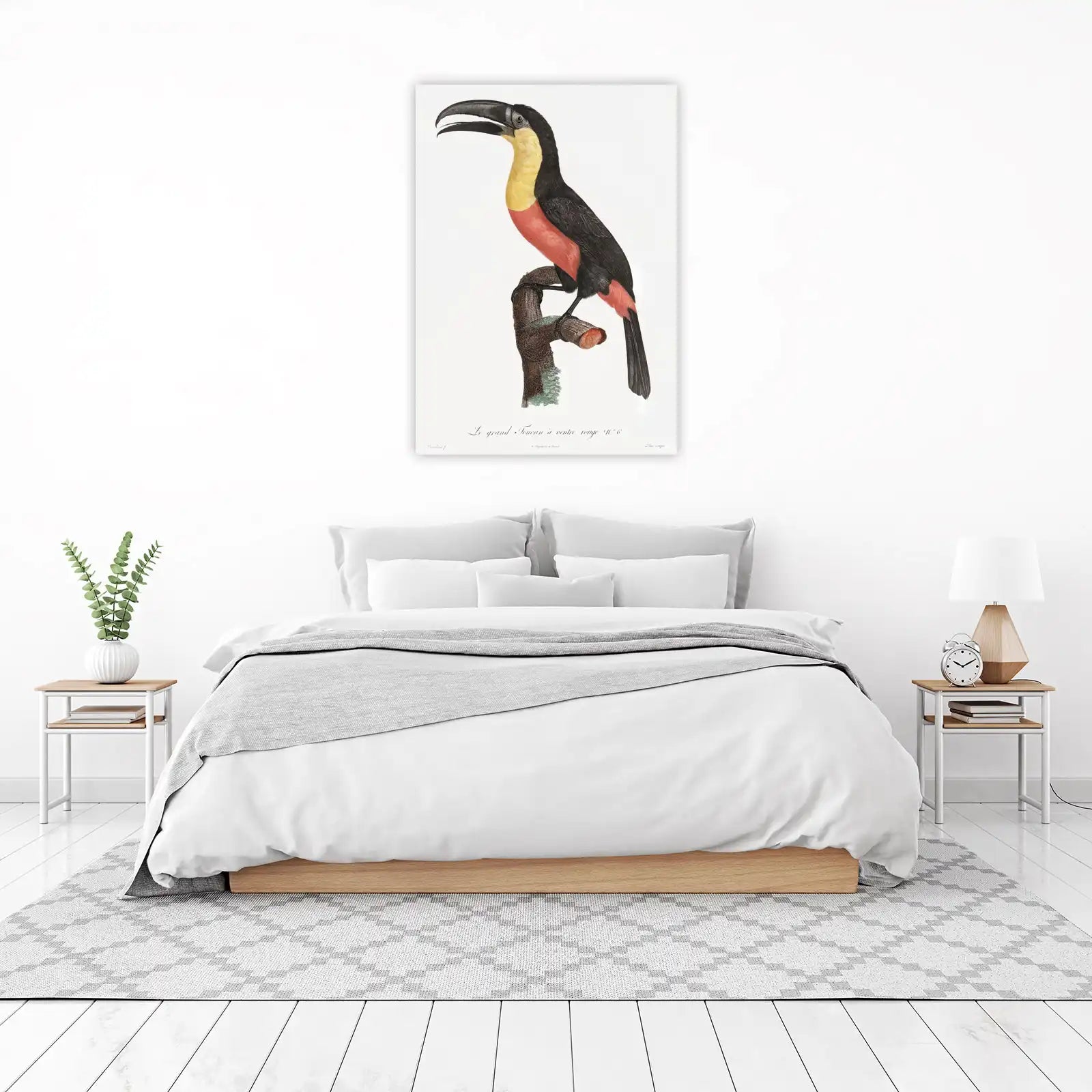 Vibrant Toucan Rainforest Wall Art Wall Art