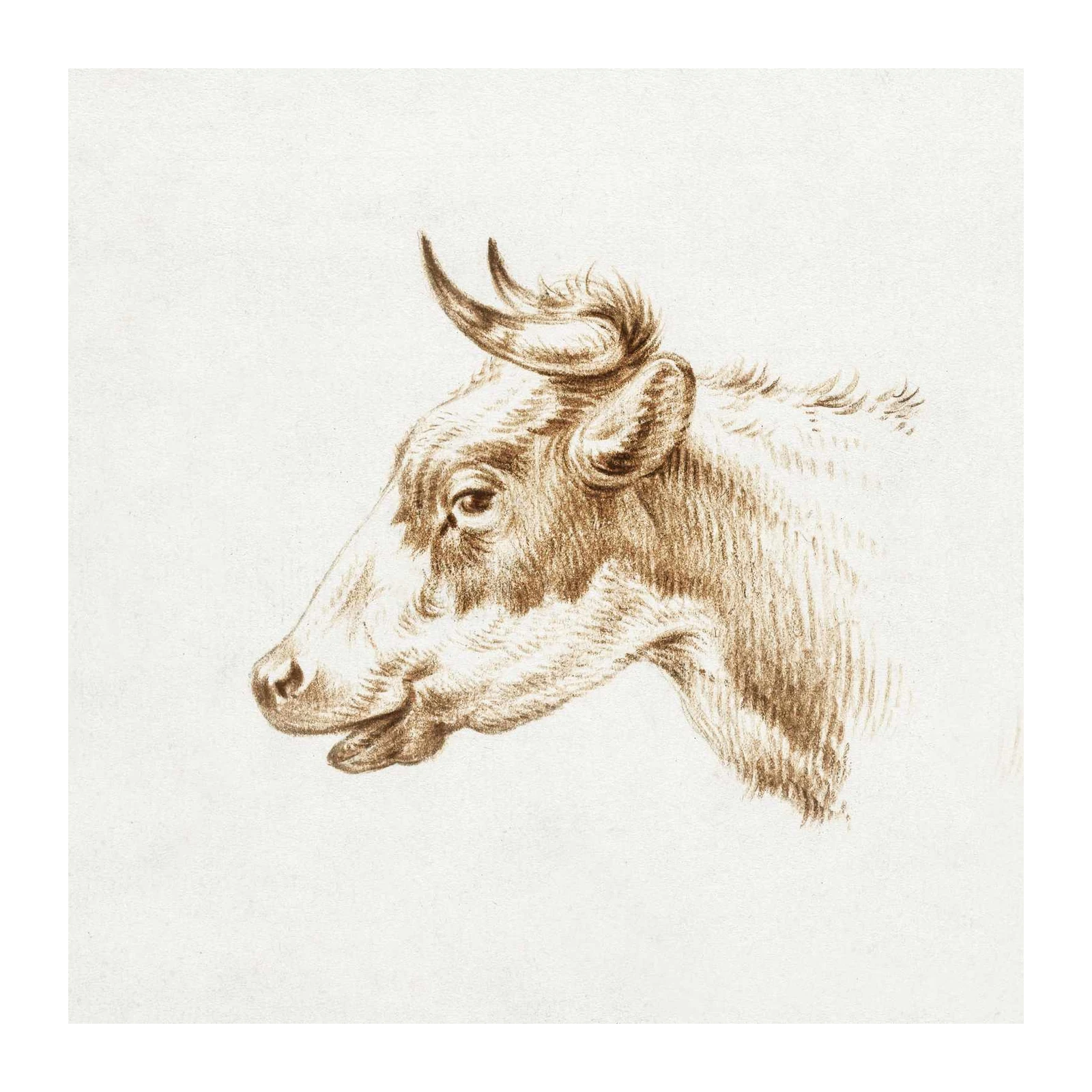 Vintage Cow Portrait Wall Art